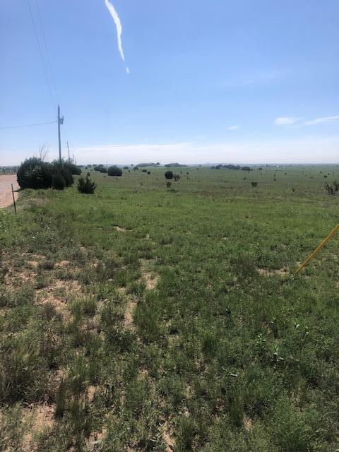 Lexco Road #D, Edgewood, New Mexico image 7