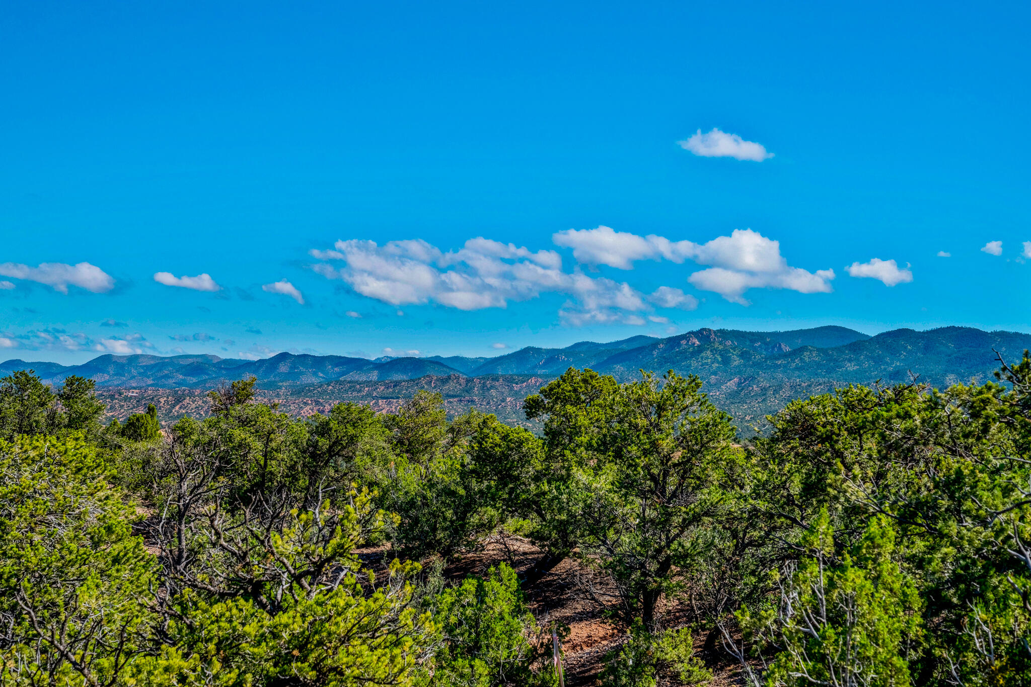 56 Tesuque Ridge Rdg, Santa Fe, New Mexico image 4