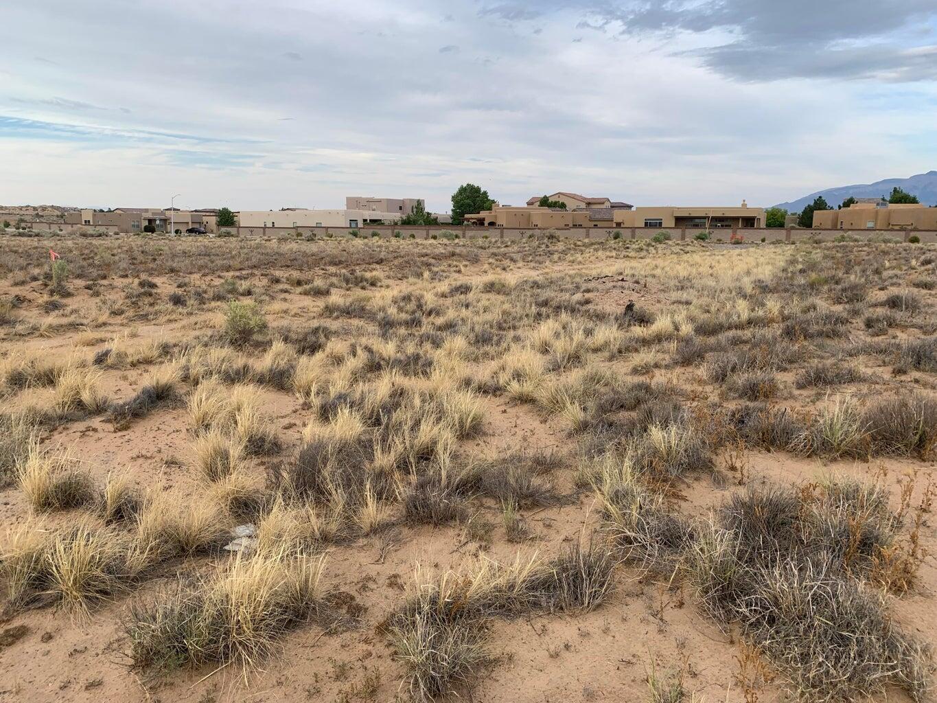 6533 Ciruela Road, Albuquerque, New Mexico image 1