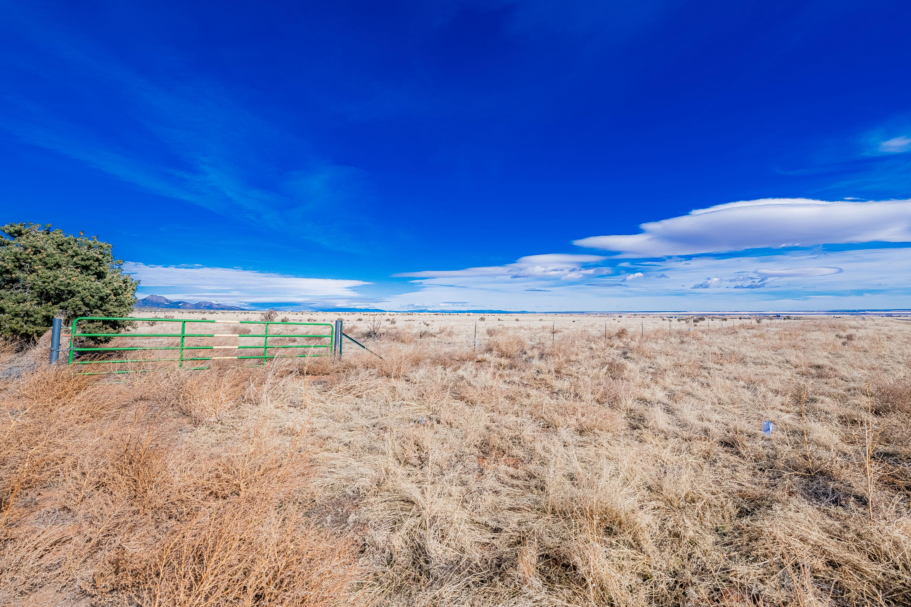 113 Nm 472, Edgewood, New Mexico image 5