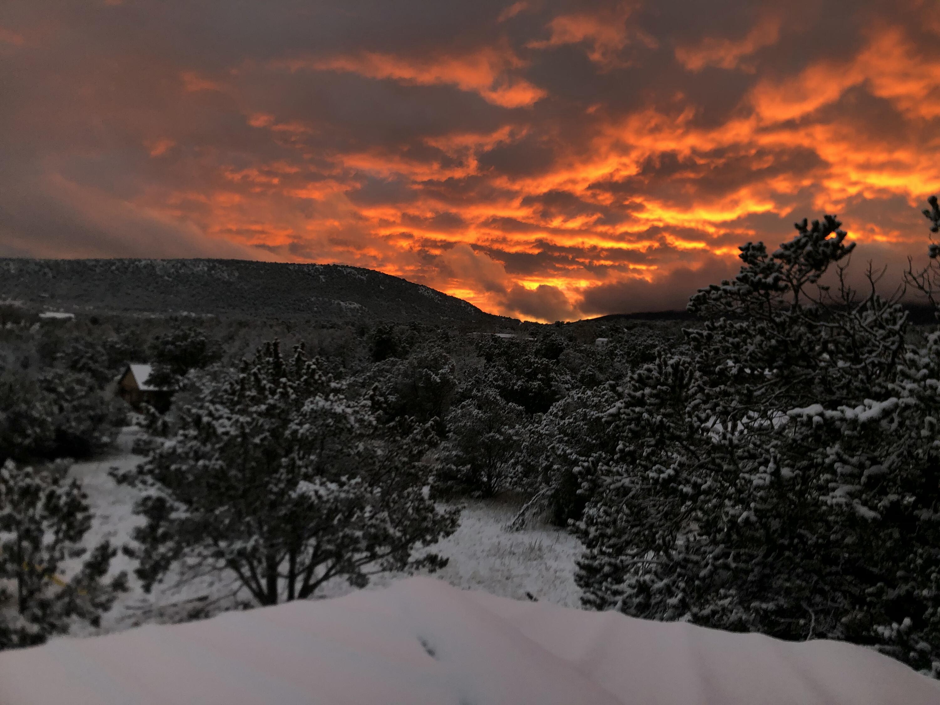 2 Luckie Lane, Sandia Park, New Mexico image 4