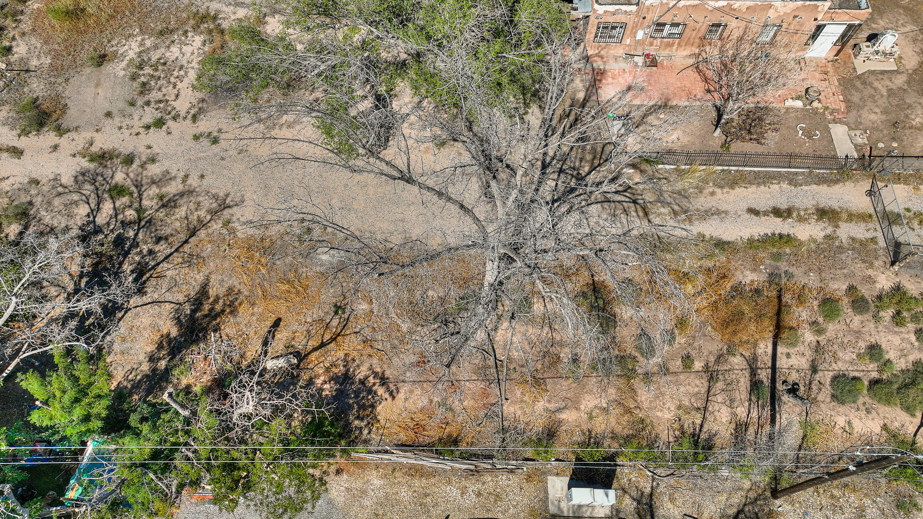 8817 4th Street, Los Ranchos, New Mexico image 1