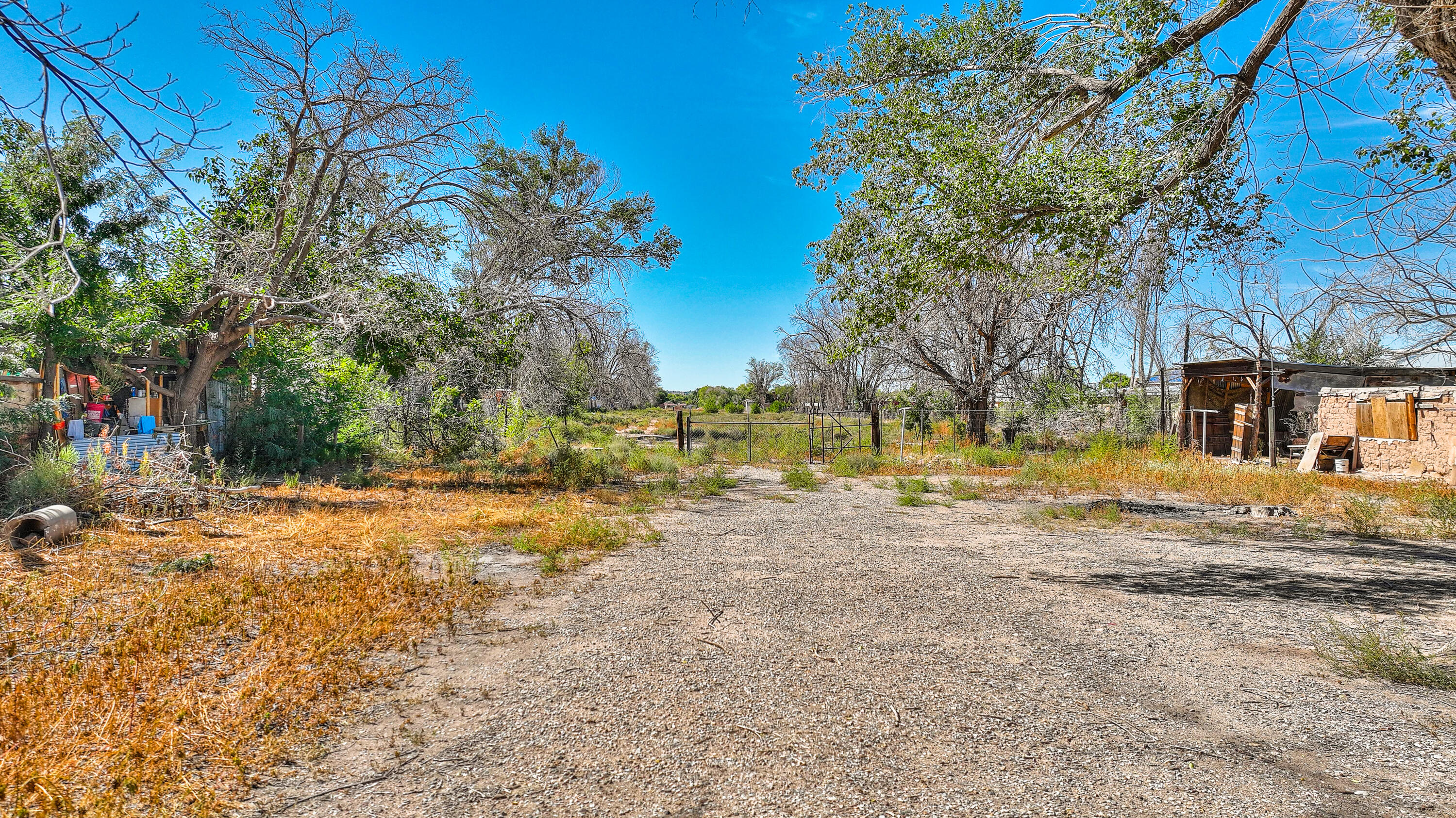 8817 4th Street, Los Ranchos, New Mexico image 6