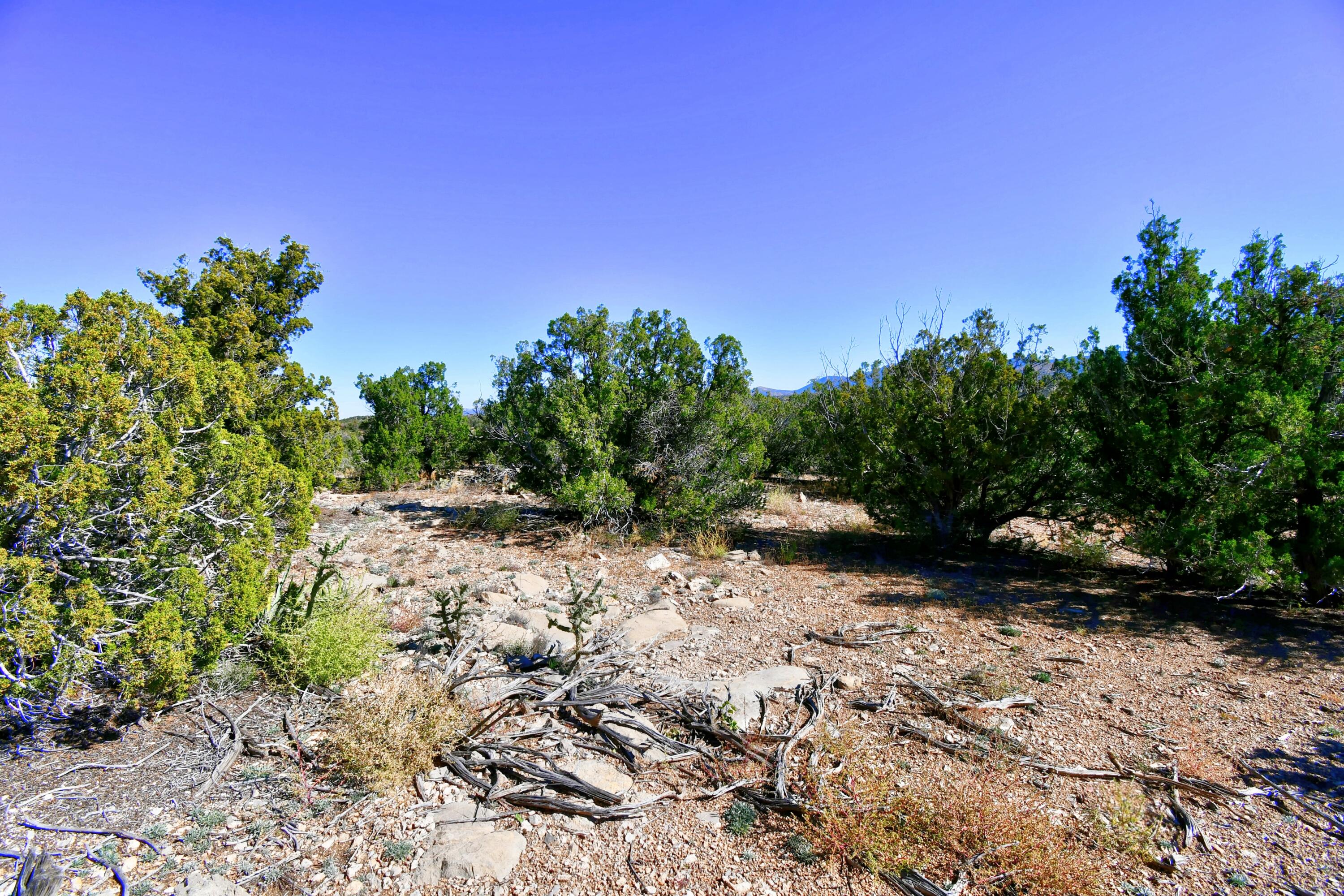 23 Tecolote Court, Sandia Park, New Mexico image 7