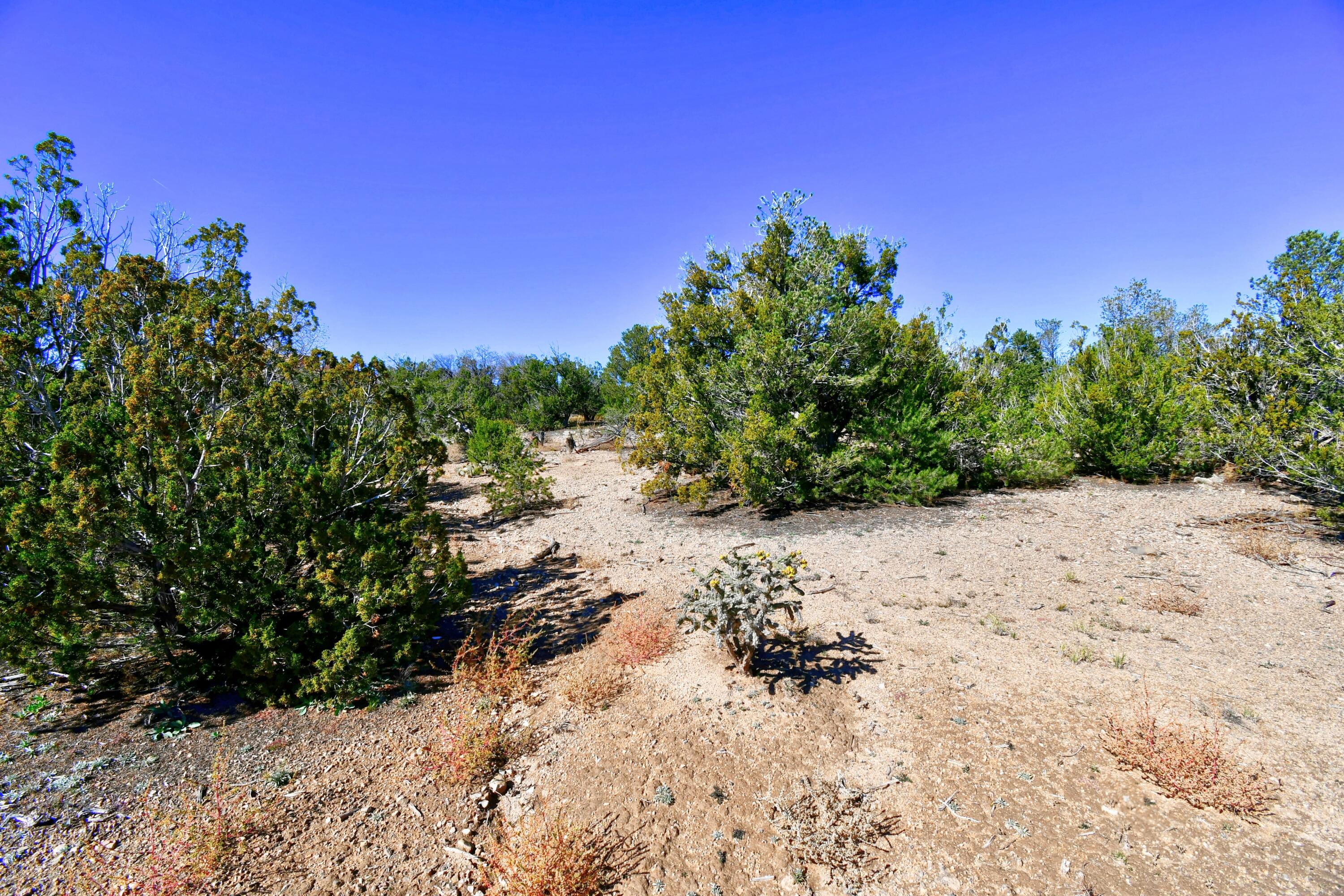 23 Tecolote Court, Sandia Park, New Mexico image 6