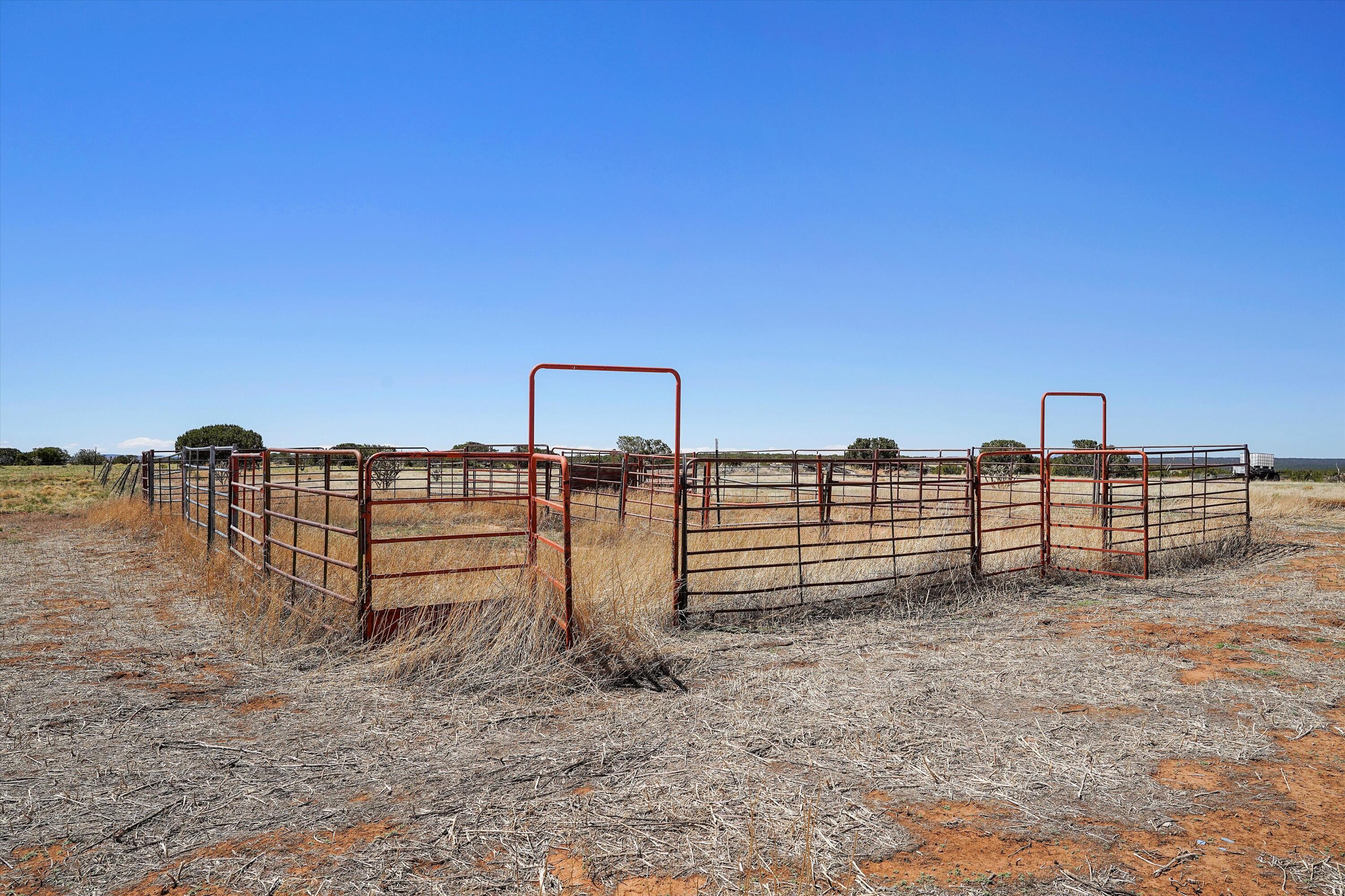 550 Peacock Road, McIntosh, New Mexico image 33