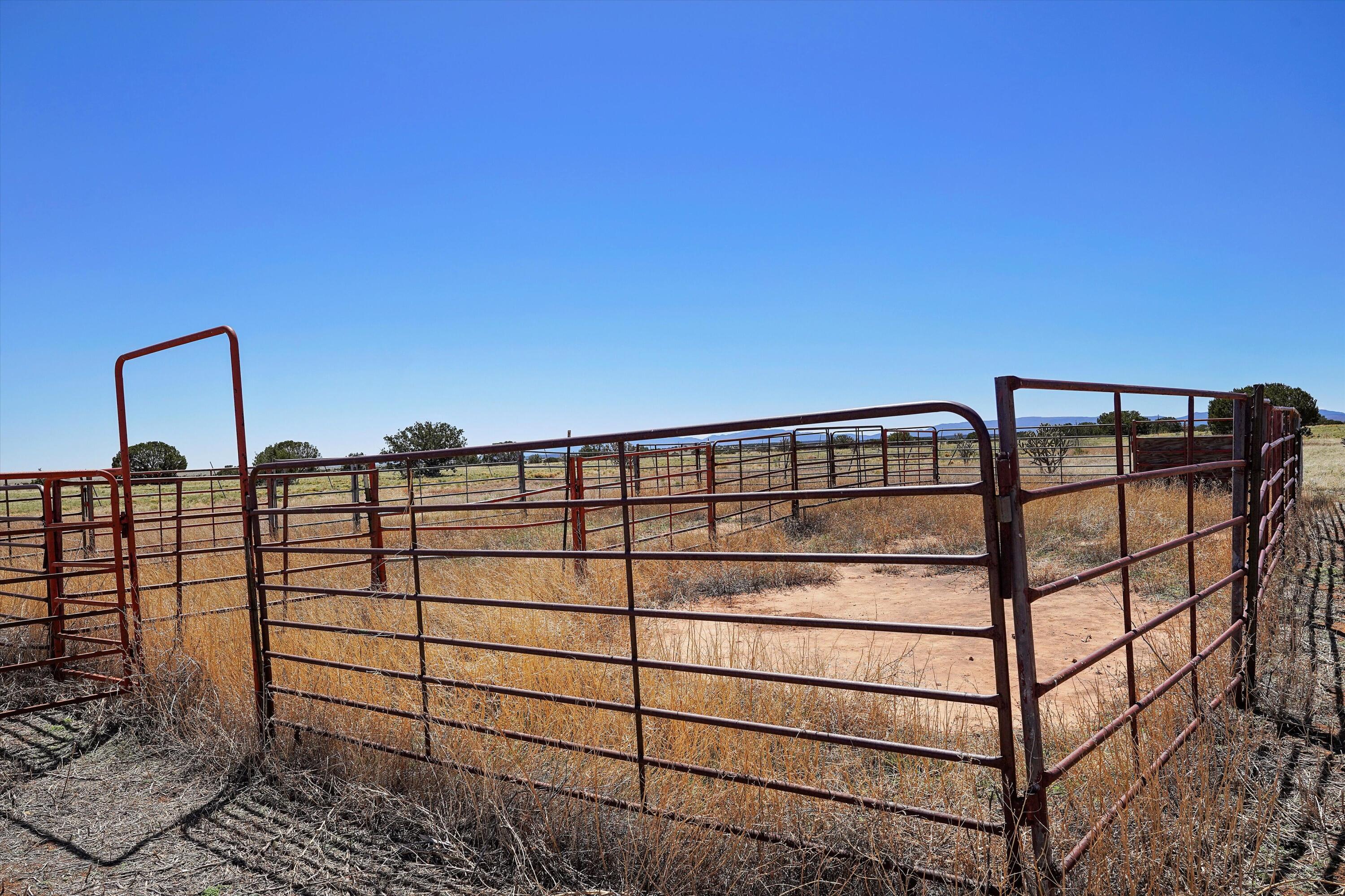 550 Peacock Road, McIntosh, New Mexico image 34