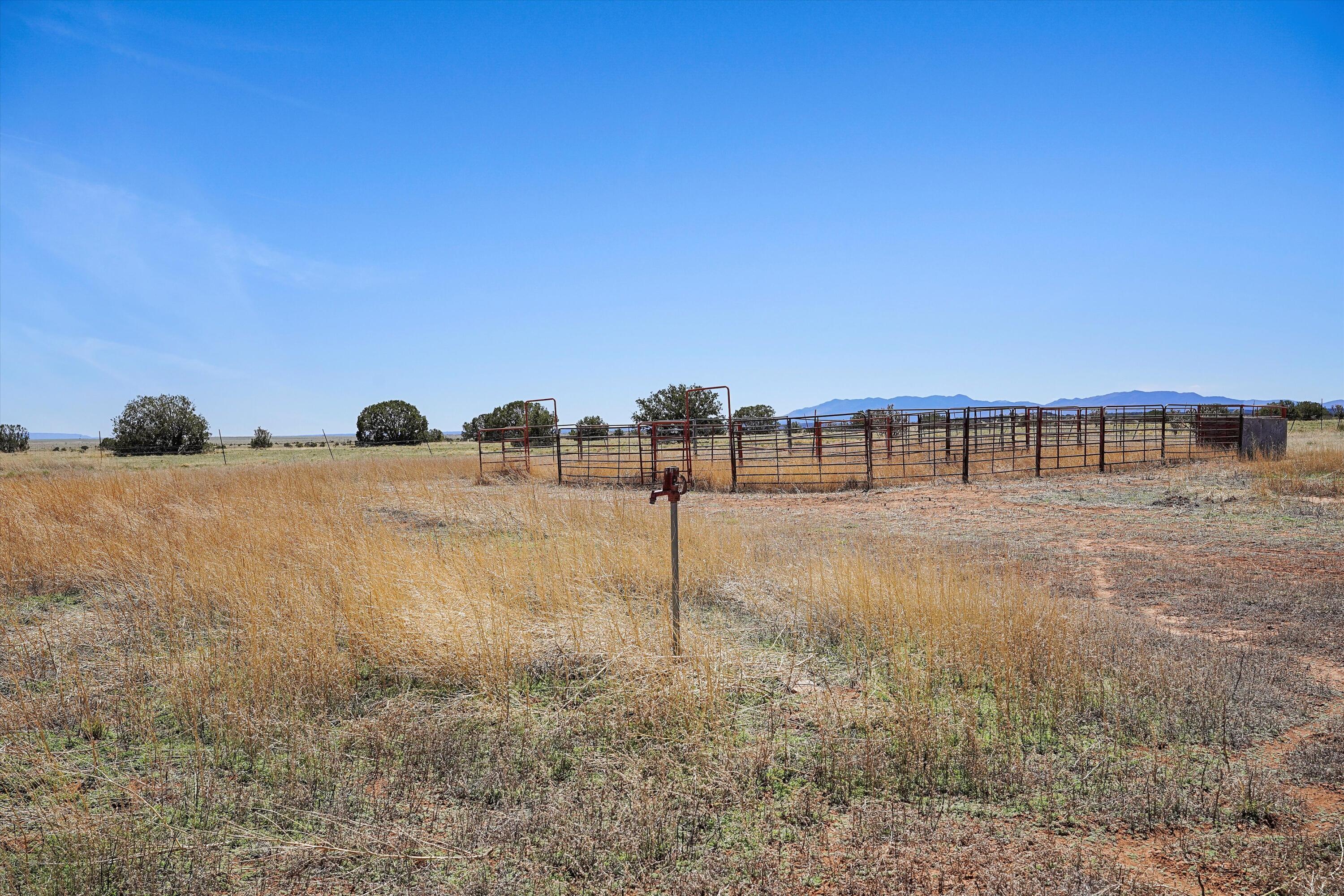 550 Peacock Road, McIntosh, New Mexico image 40