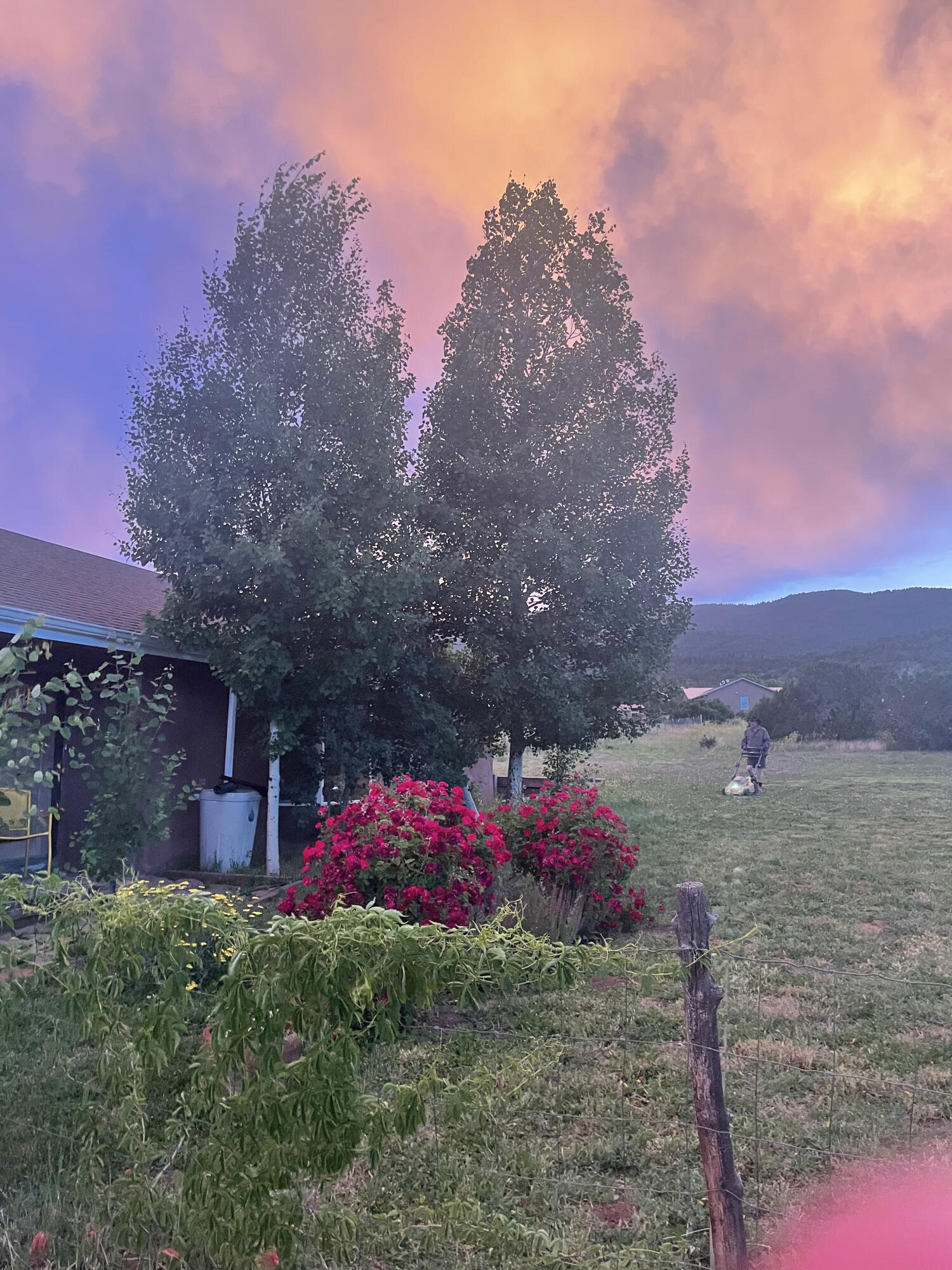 5 Francisco Road, Cedar Crest, New Mexico image 32