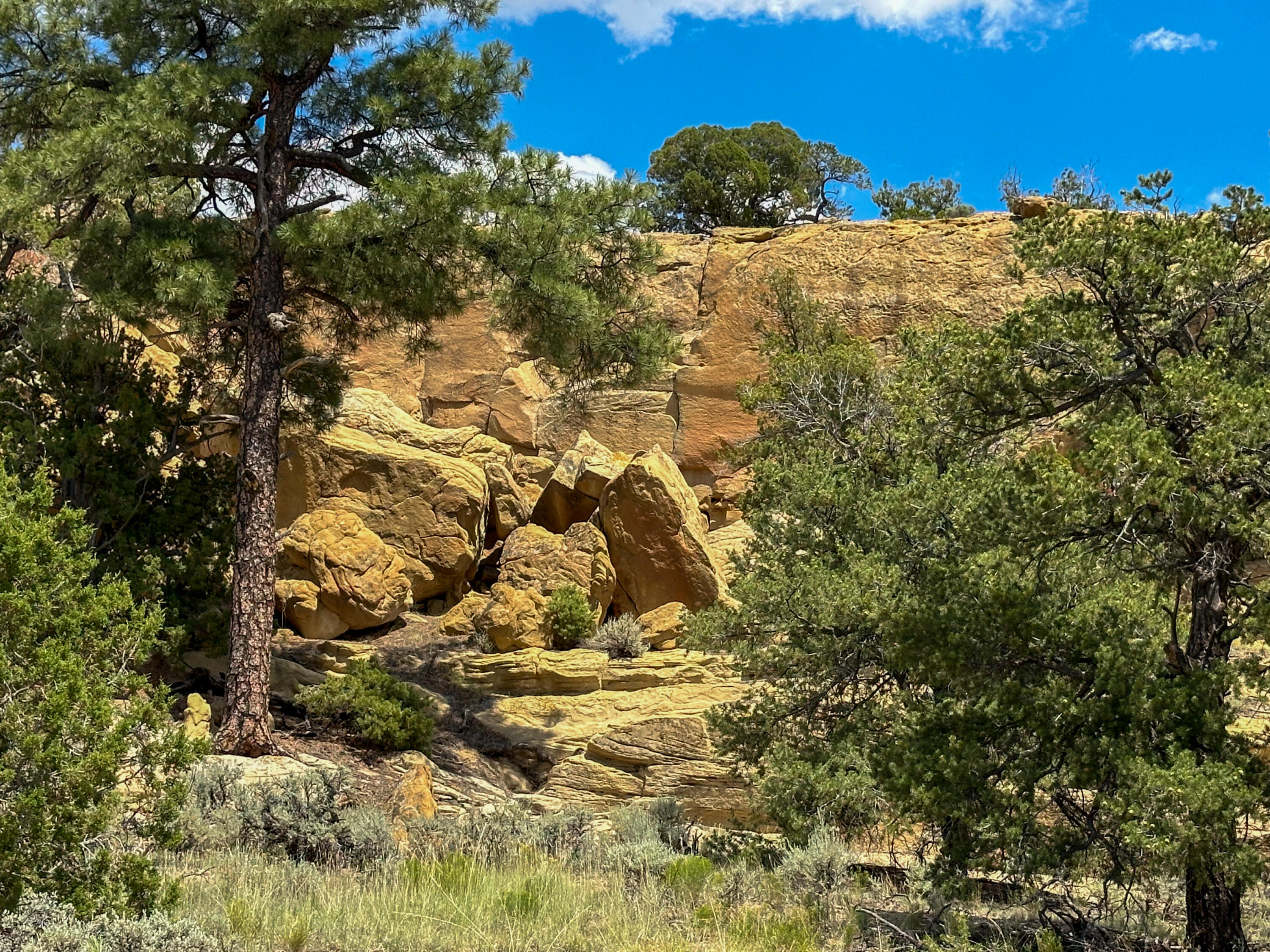 San Isidro Mesa Ranch, Cuba, New Mexico image 10