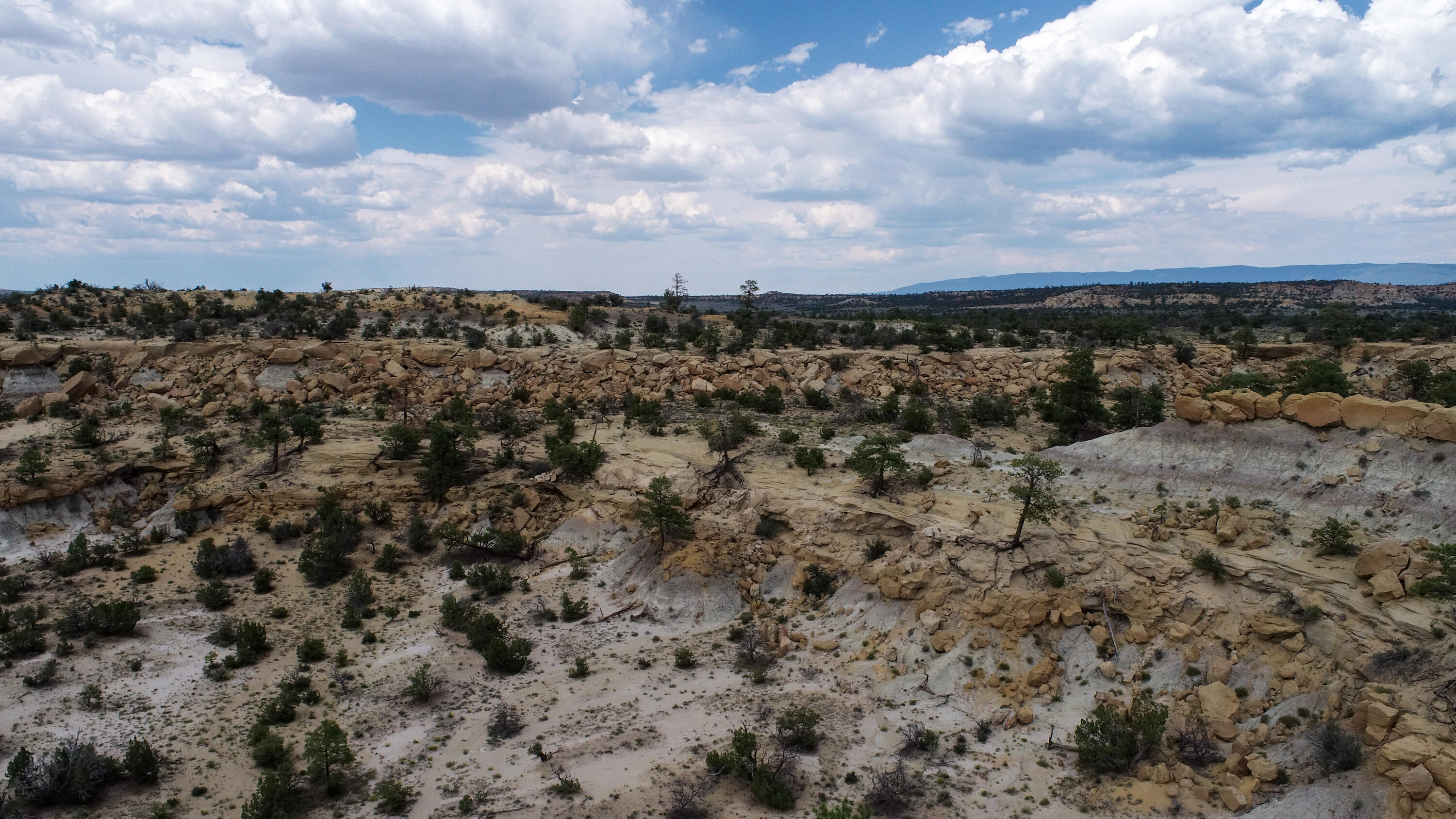 San Isidro Mesa Ranch, Cuba, New Mexico image 33