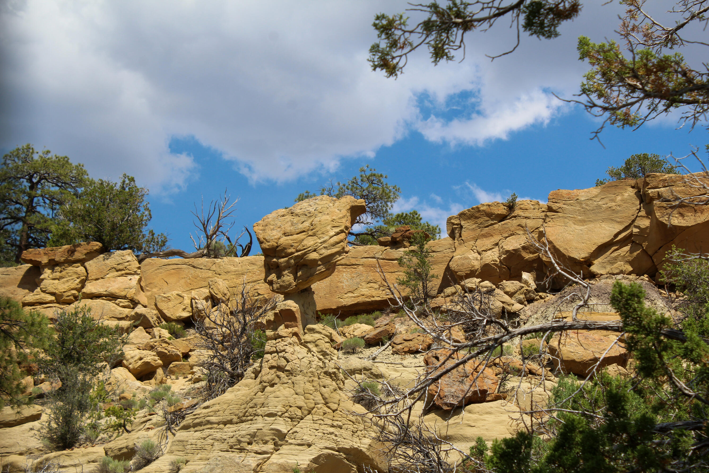 San Isidro Mesa Ranch, Cuba, New Mexico image 48