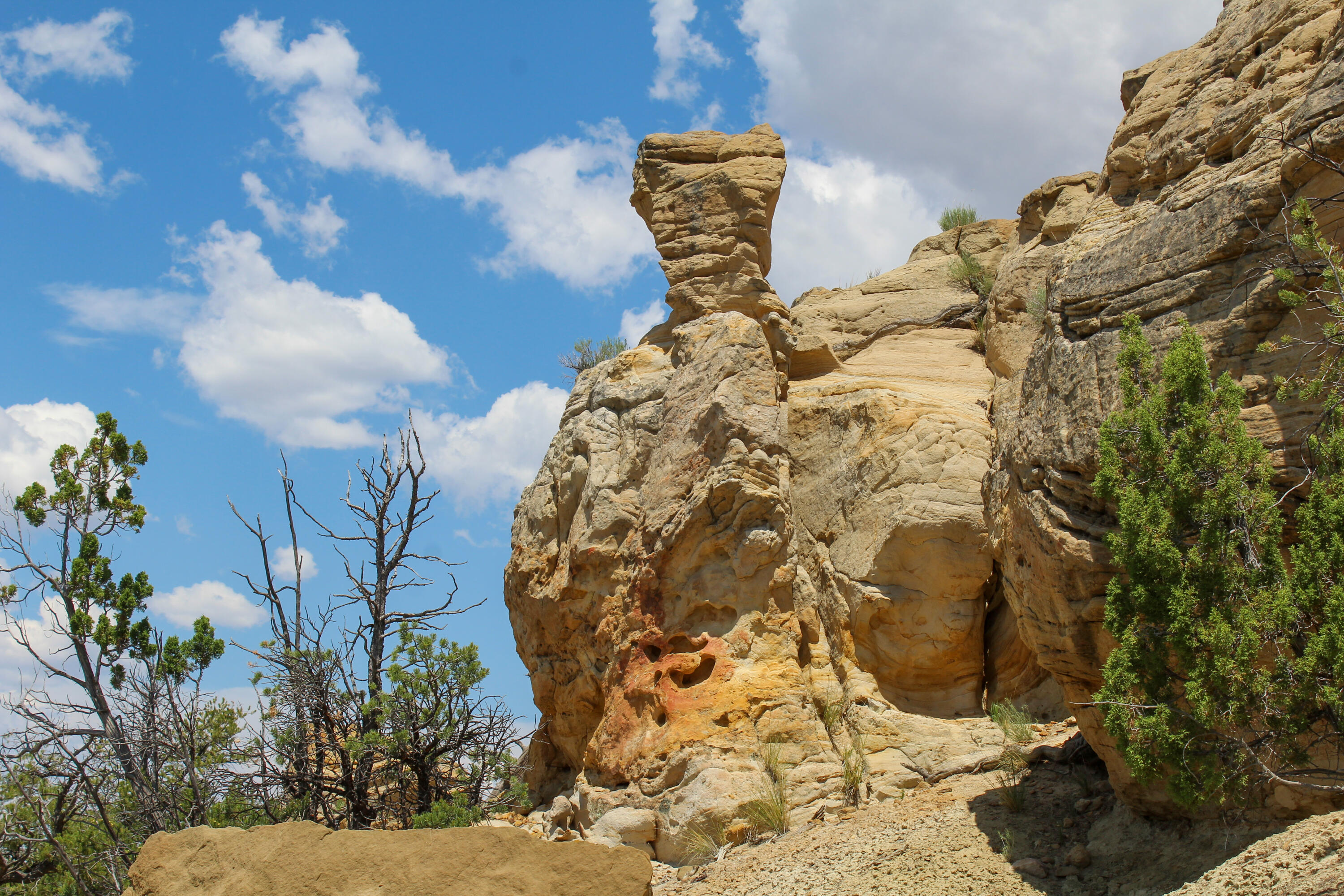 San Isidro Mesa Ranch, Cuba, New Mexico image 44