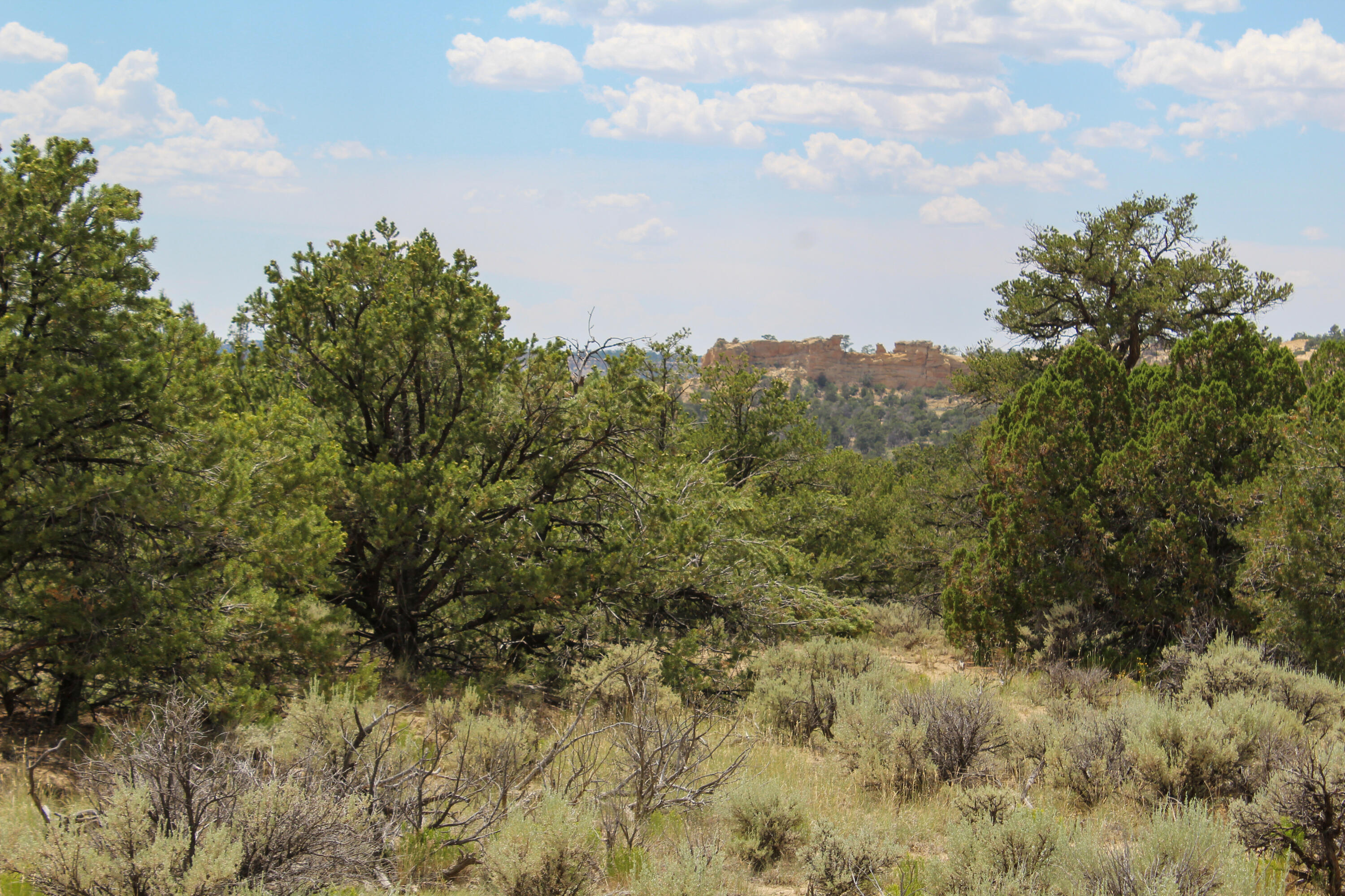 San Isidro Mesa Ranch, Cuba, New Mexico image 6