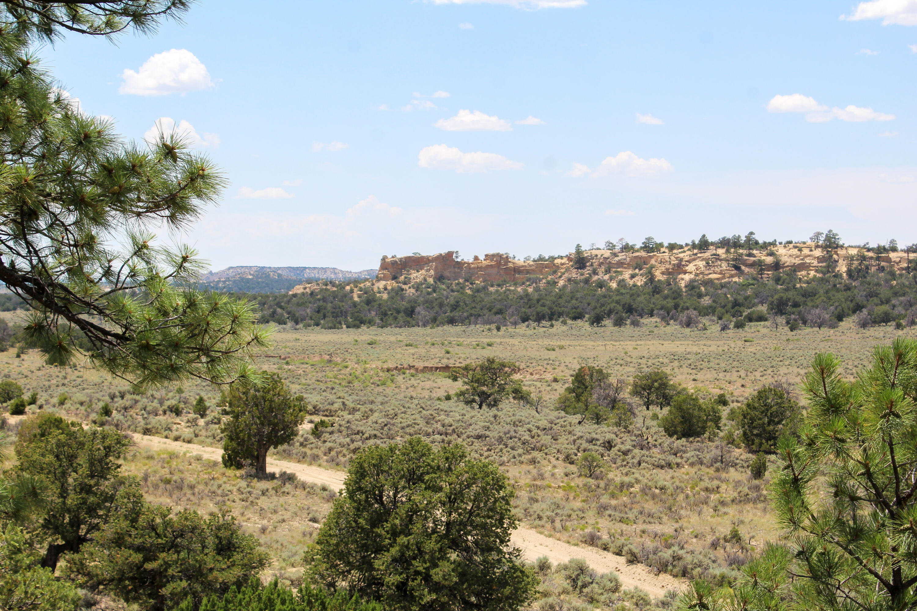 San Isidro Mesa Ranch, Cuba, New Mexico image 1