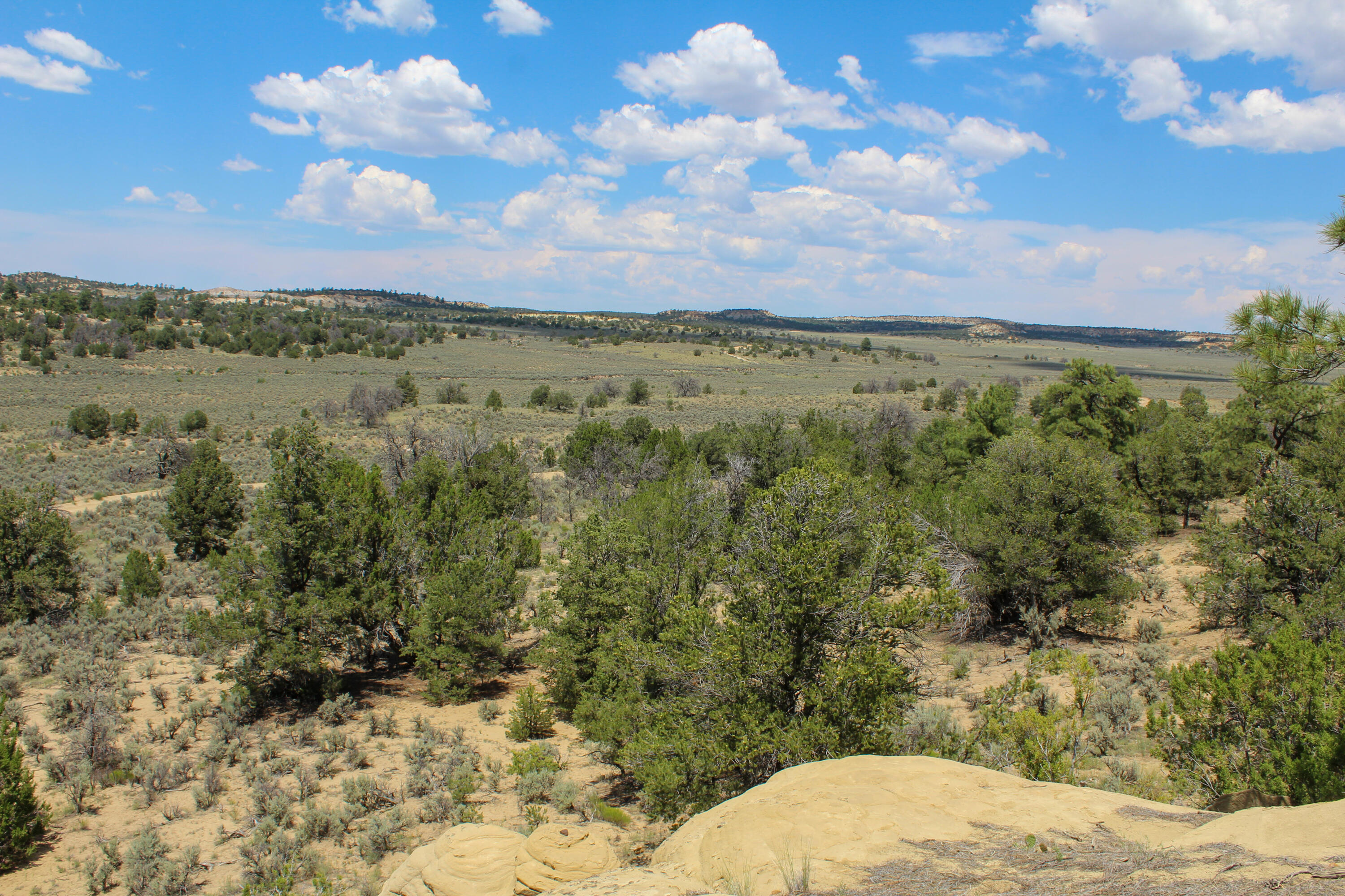 San Isidro Mesa Ranch, Cuba, New Mexico image 4