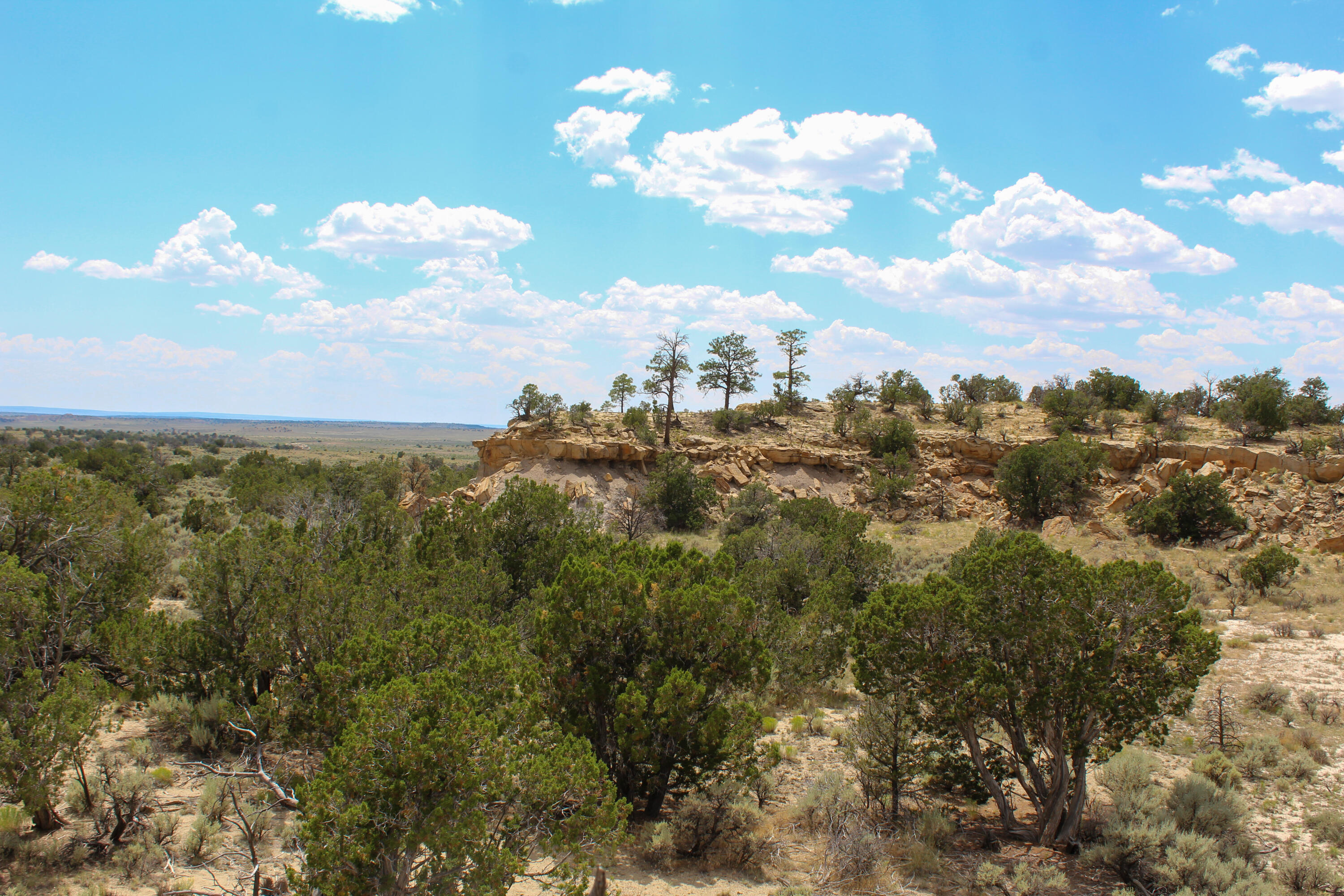 San Isidro Mesa Ranch, Cuba, New Mexico image 8