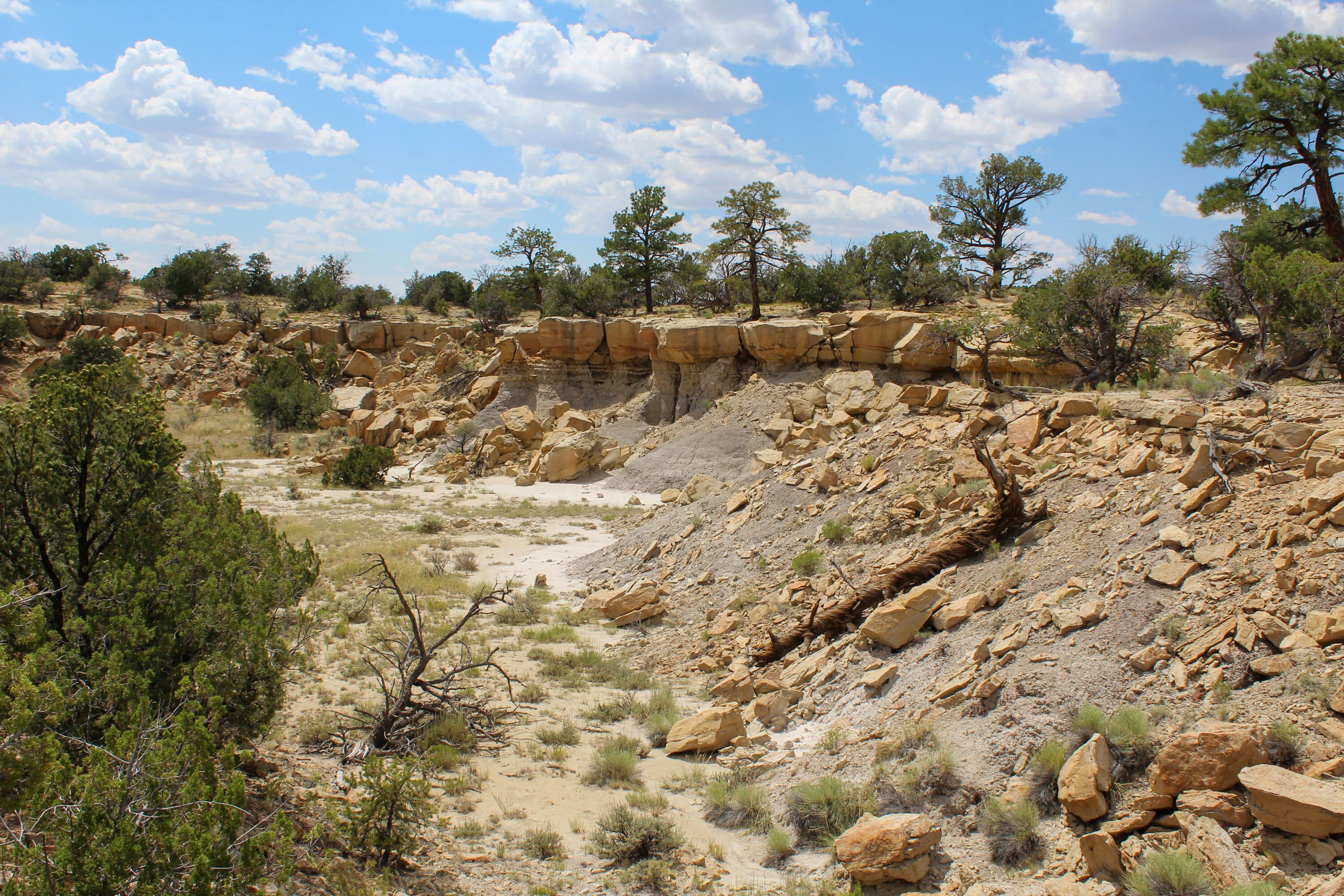 San Isidro Mesa Ranch, Cuba, New Mexico image 7