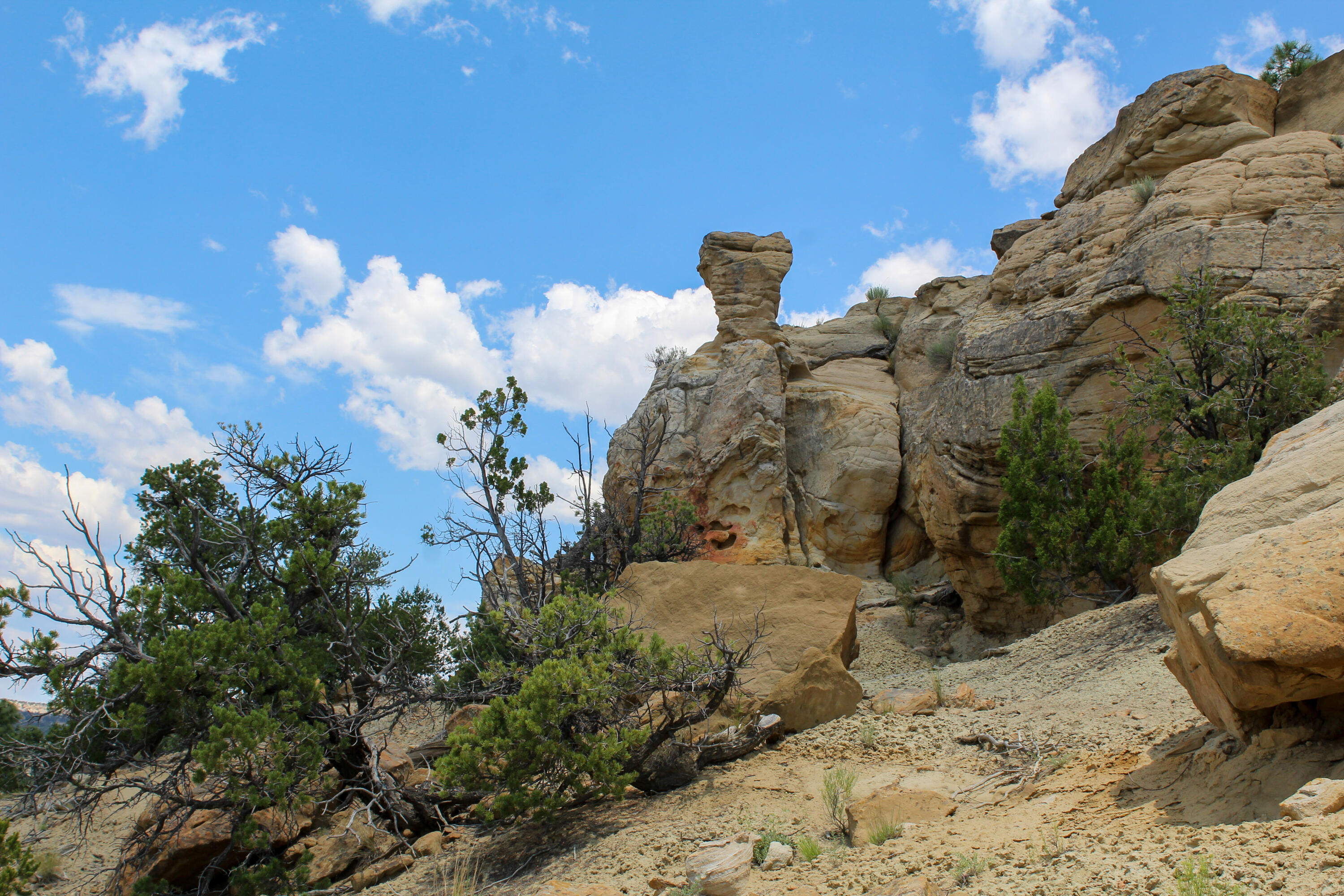 San Isidro Mesa Ranch, Cuba, New Mexico image 36