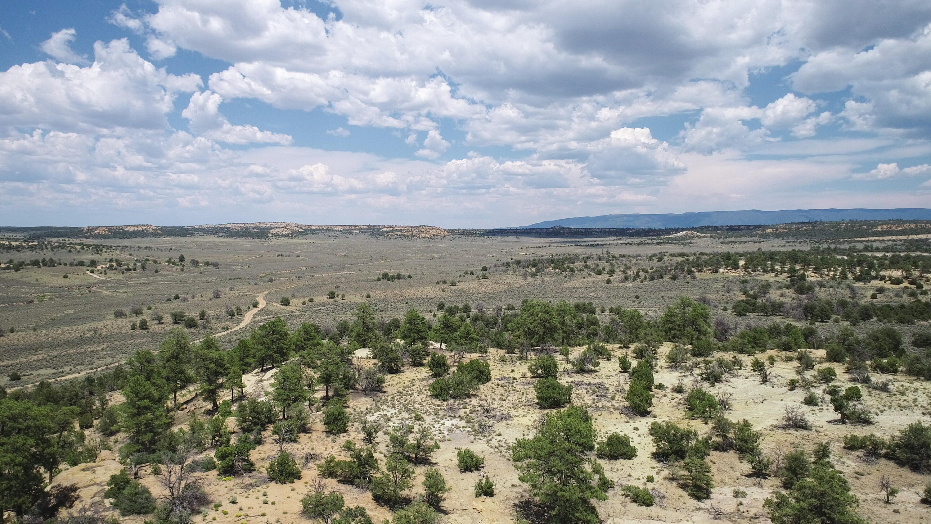 San Isidro Mesa Ranch, Cuba, New Mexico image 5