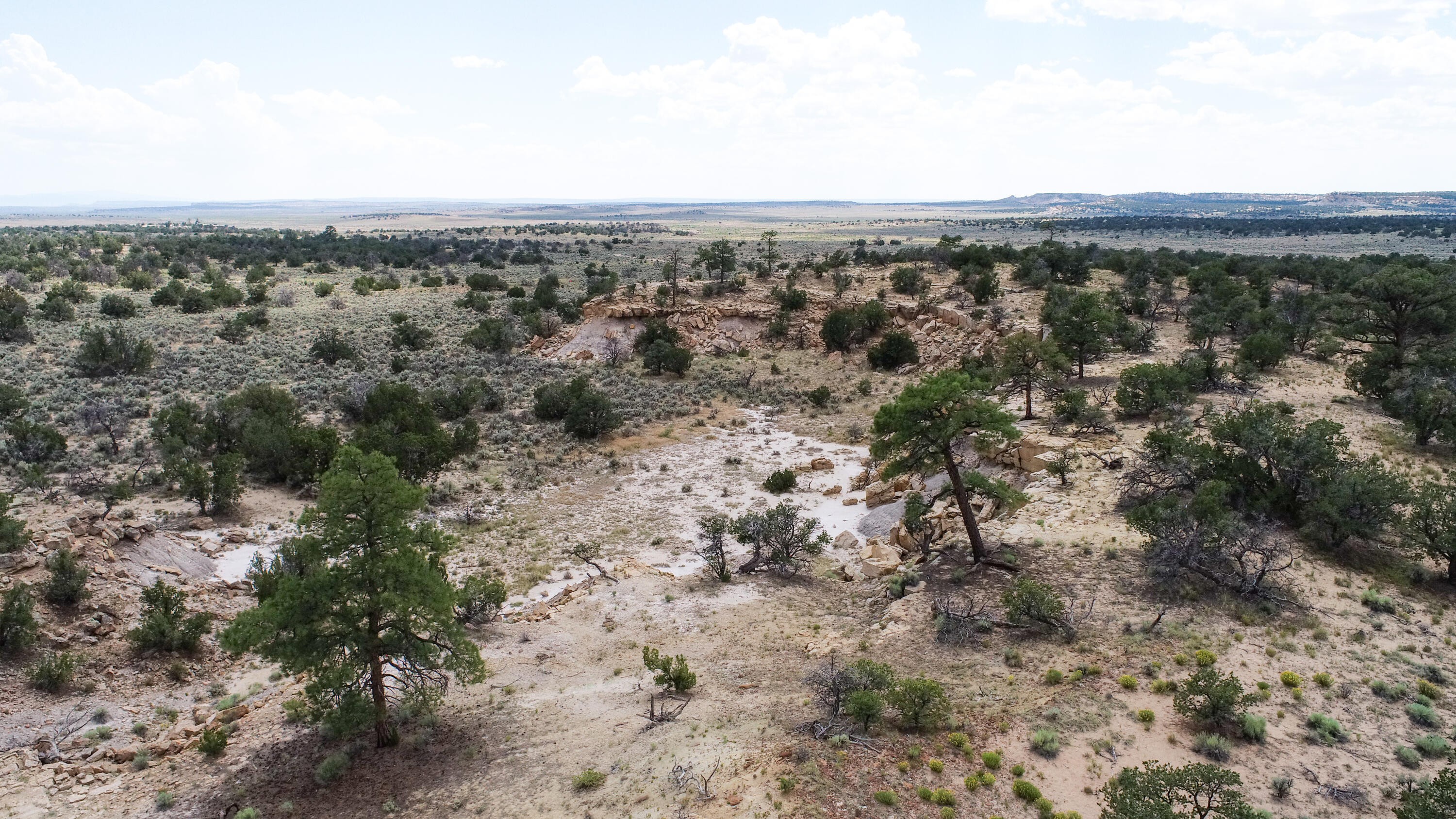 San Isidro Mesa Ranch, Cuba, New Mexico image 24