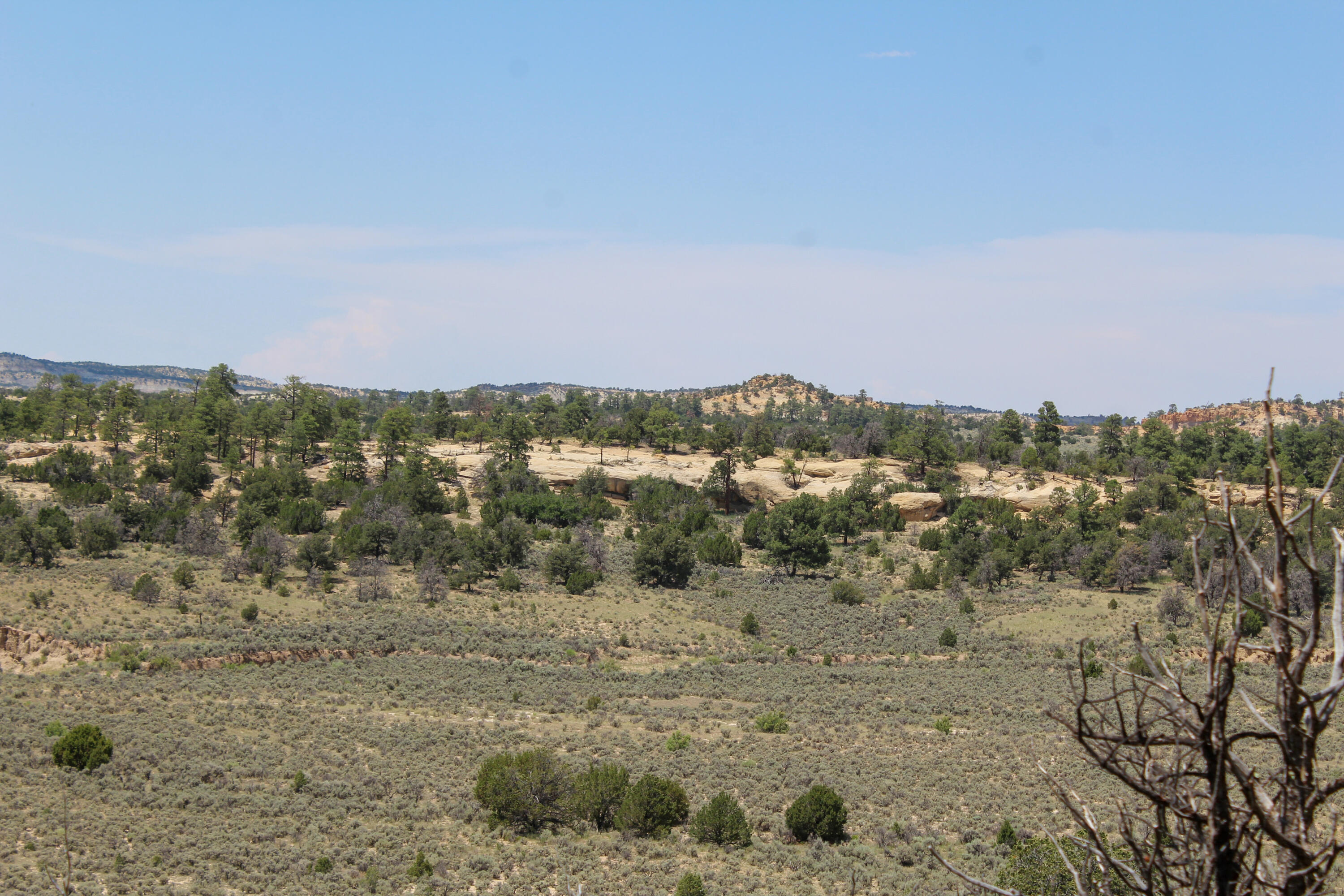 San Isidro Mesa Ranch, Cuba, New Mexico image 41