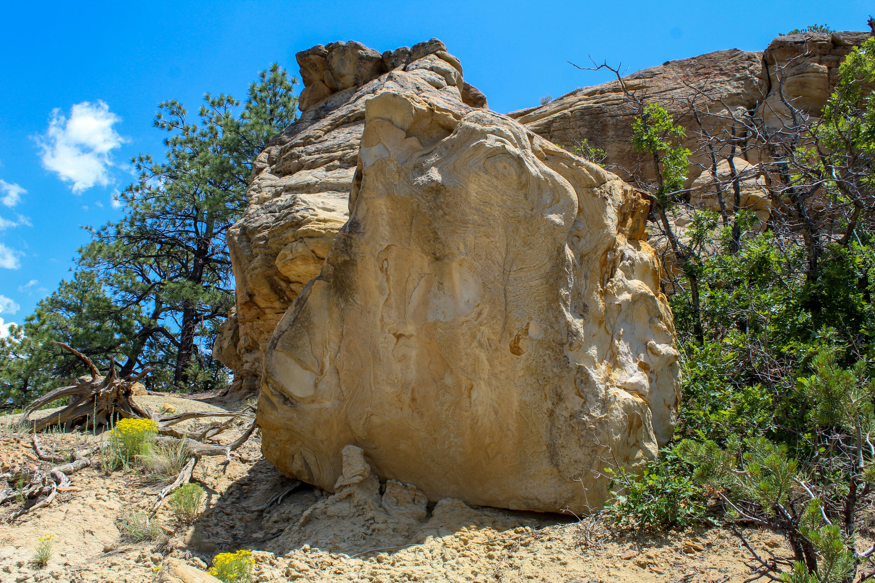 San Isidro Mesa Ranch, Cuba, New Mexico image 37