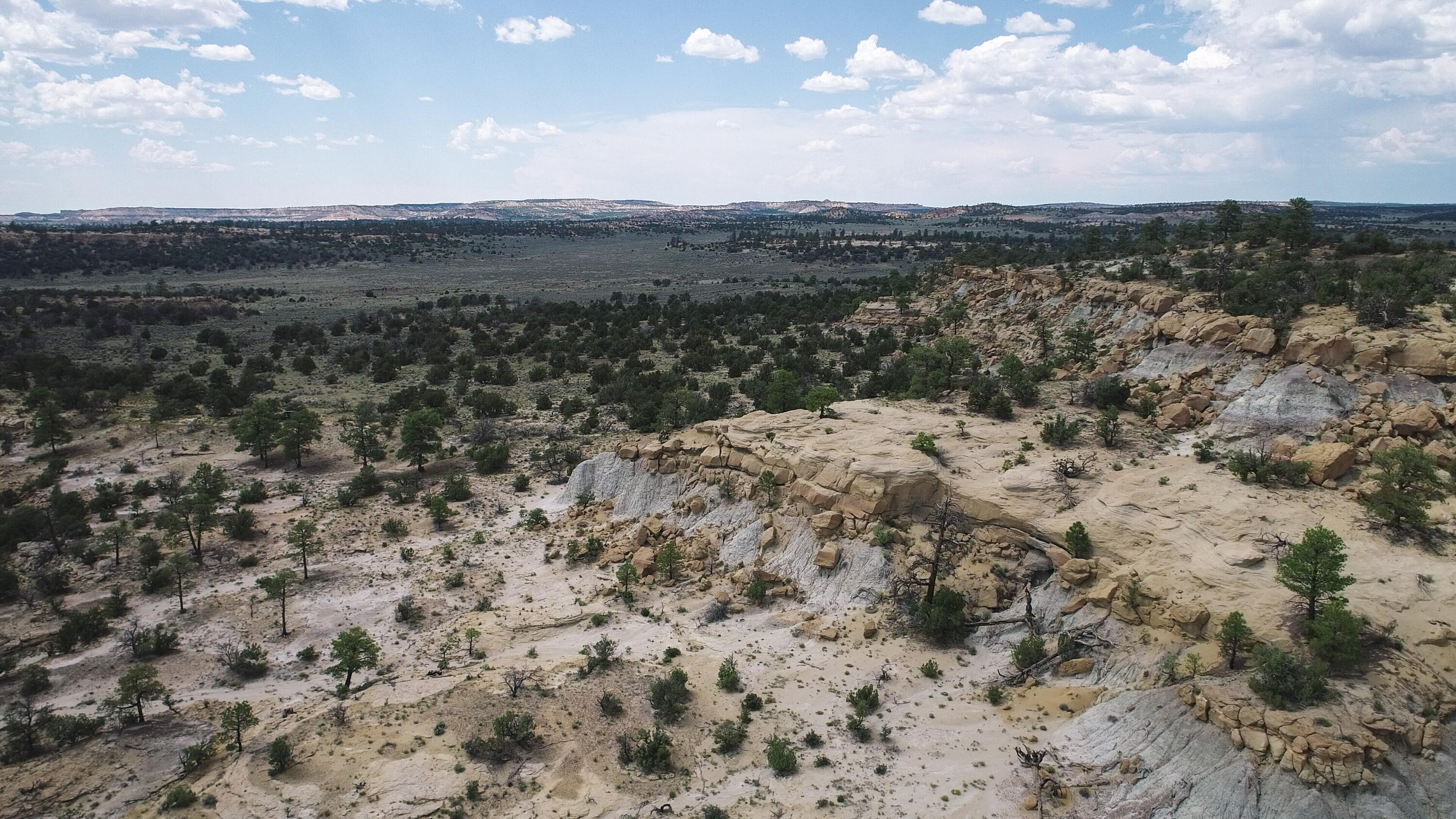 San Isidro Mesa Ranch, Cuba, New Mexico image 30