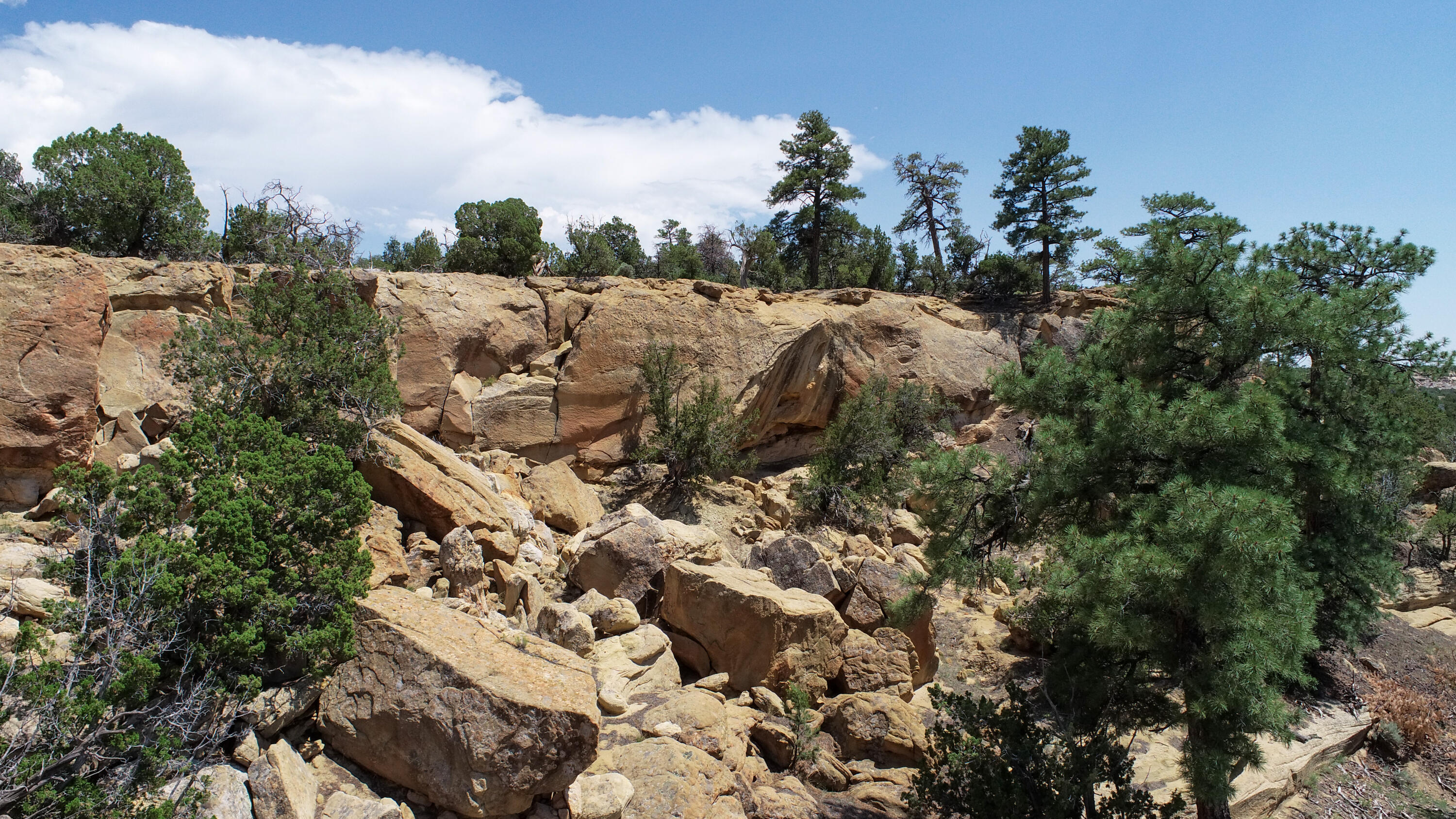 San Isidro Mesa Ranch, Cuba, New Mexico image 15