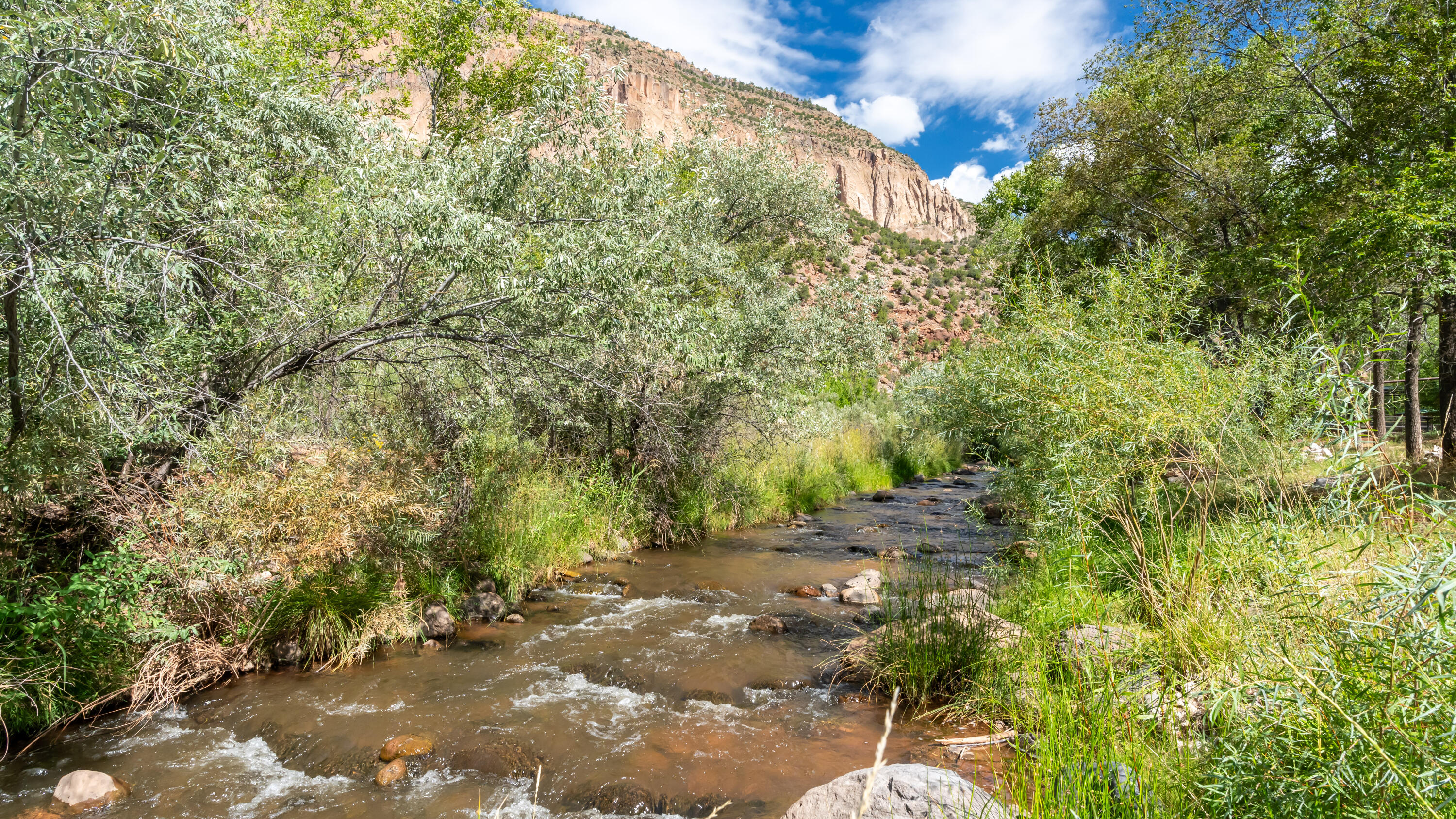 15893 Highway 4, Jemez Springs, New Mexico image 7