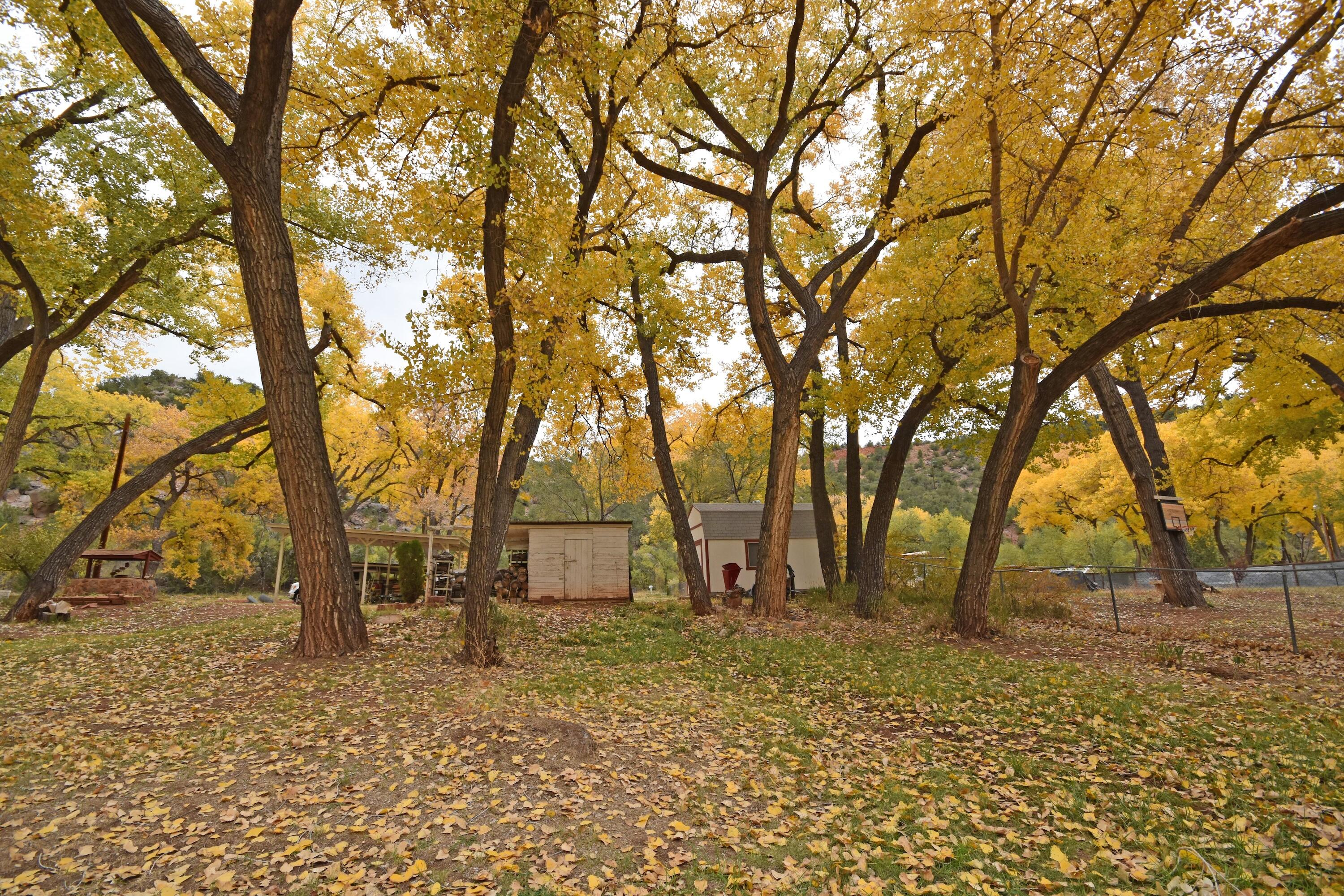 15893 Highway 4, Jemez Springs, New Mexico image 4