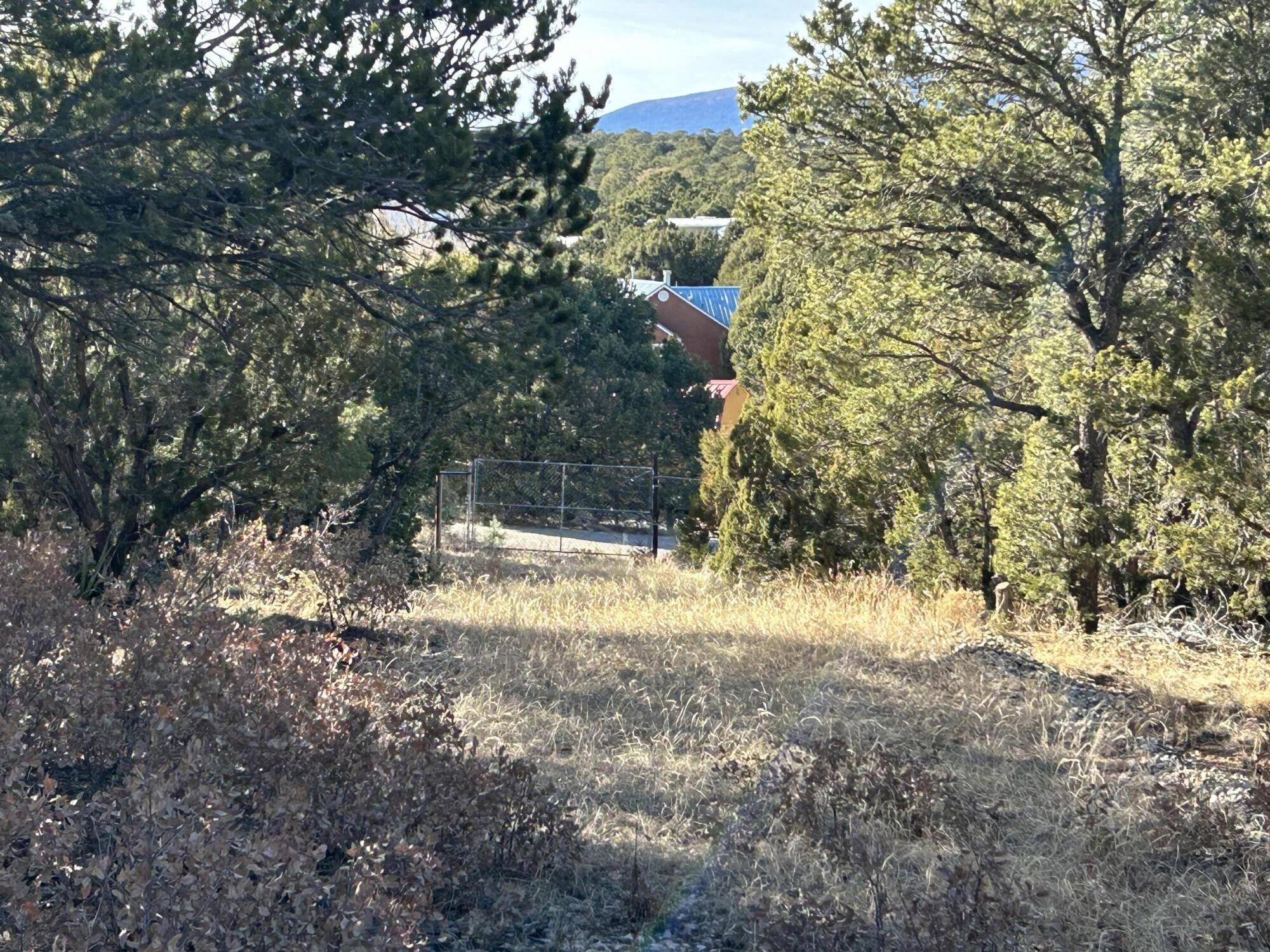 20 Holiday Drive, Tijeras, New Mexico image 4