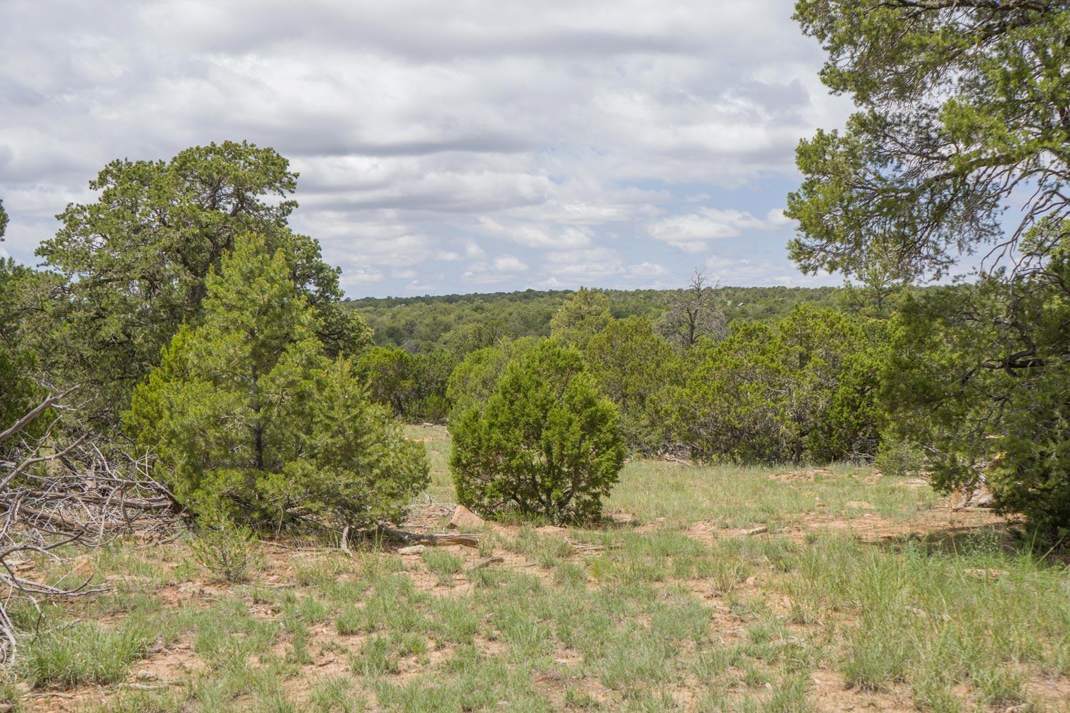 E Highway 34, Rowe, New Mexico image 4