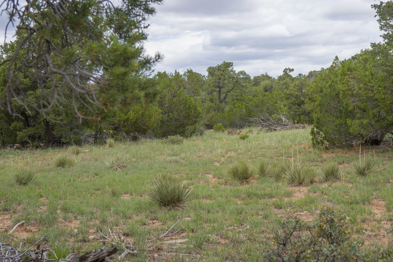 E Highway 34, Rowe, New Mexico image 6