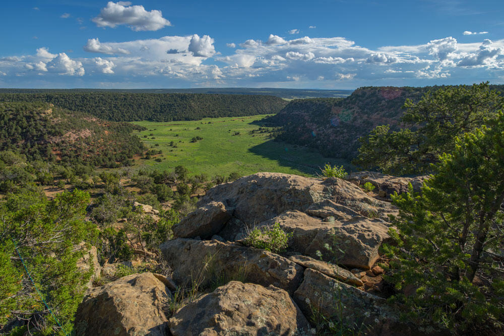 E Highway 34, Rowe, New Mexico image 1
