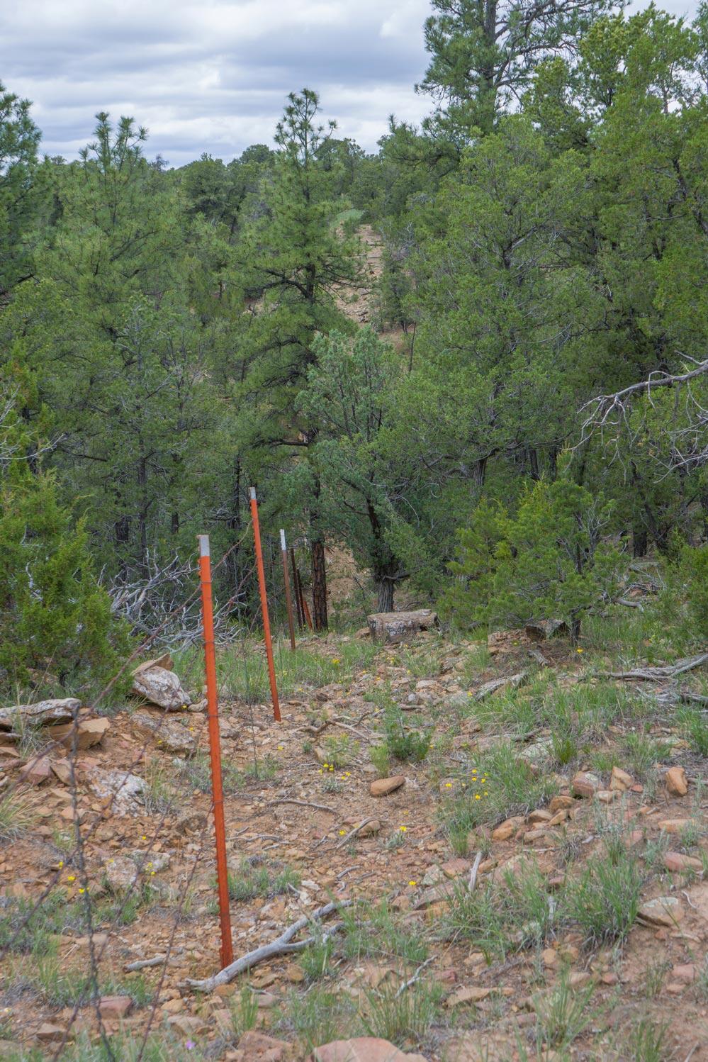 E Highway 34, Rowe, New Mexico image 14