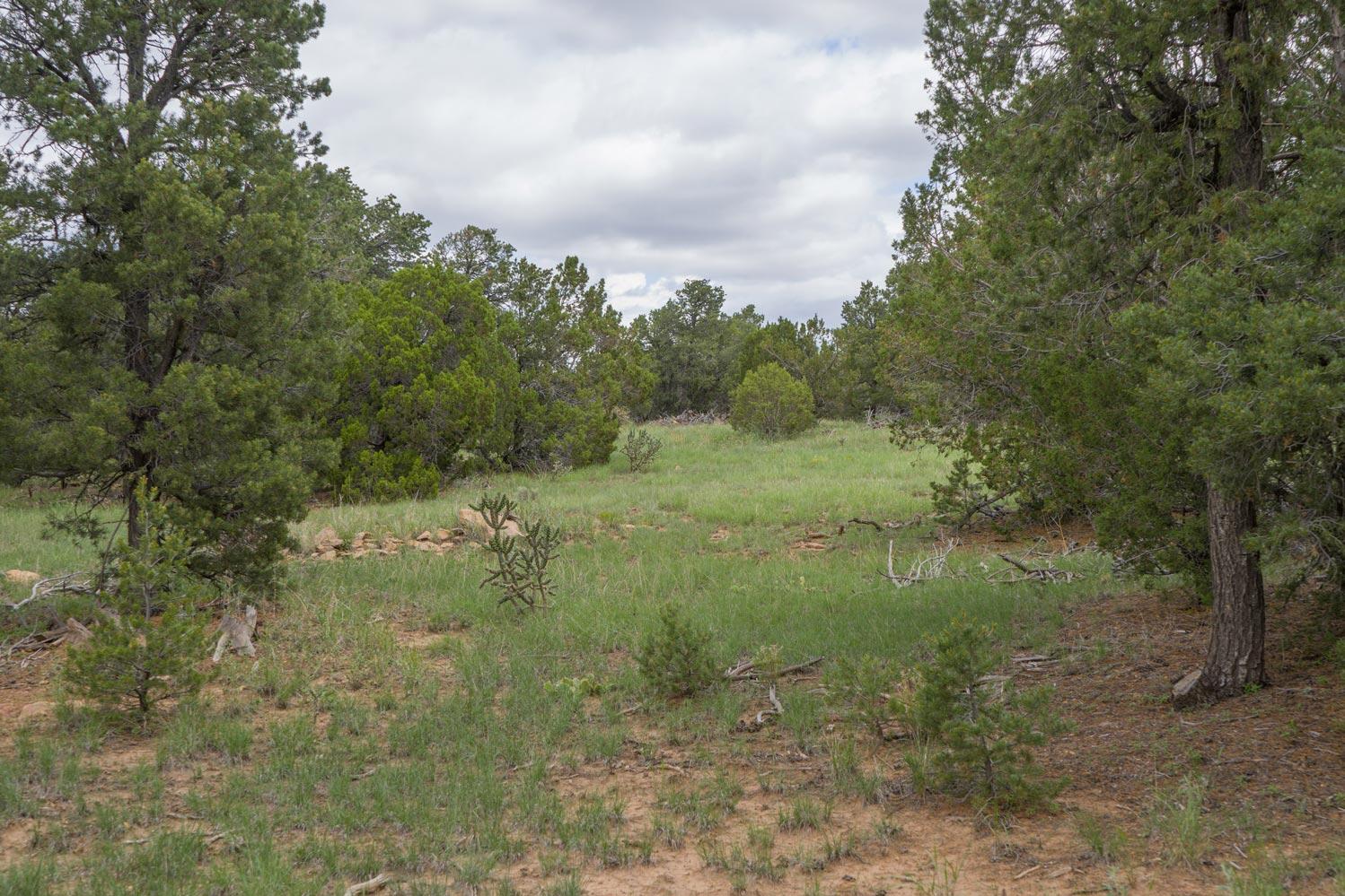 E Highway 34, Rowe, New Mexico image 3