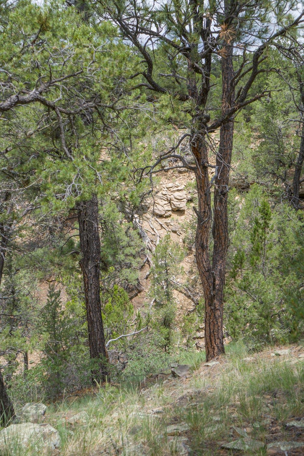 E Highway 34, Rowe, New Mexico image 26