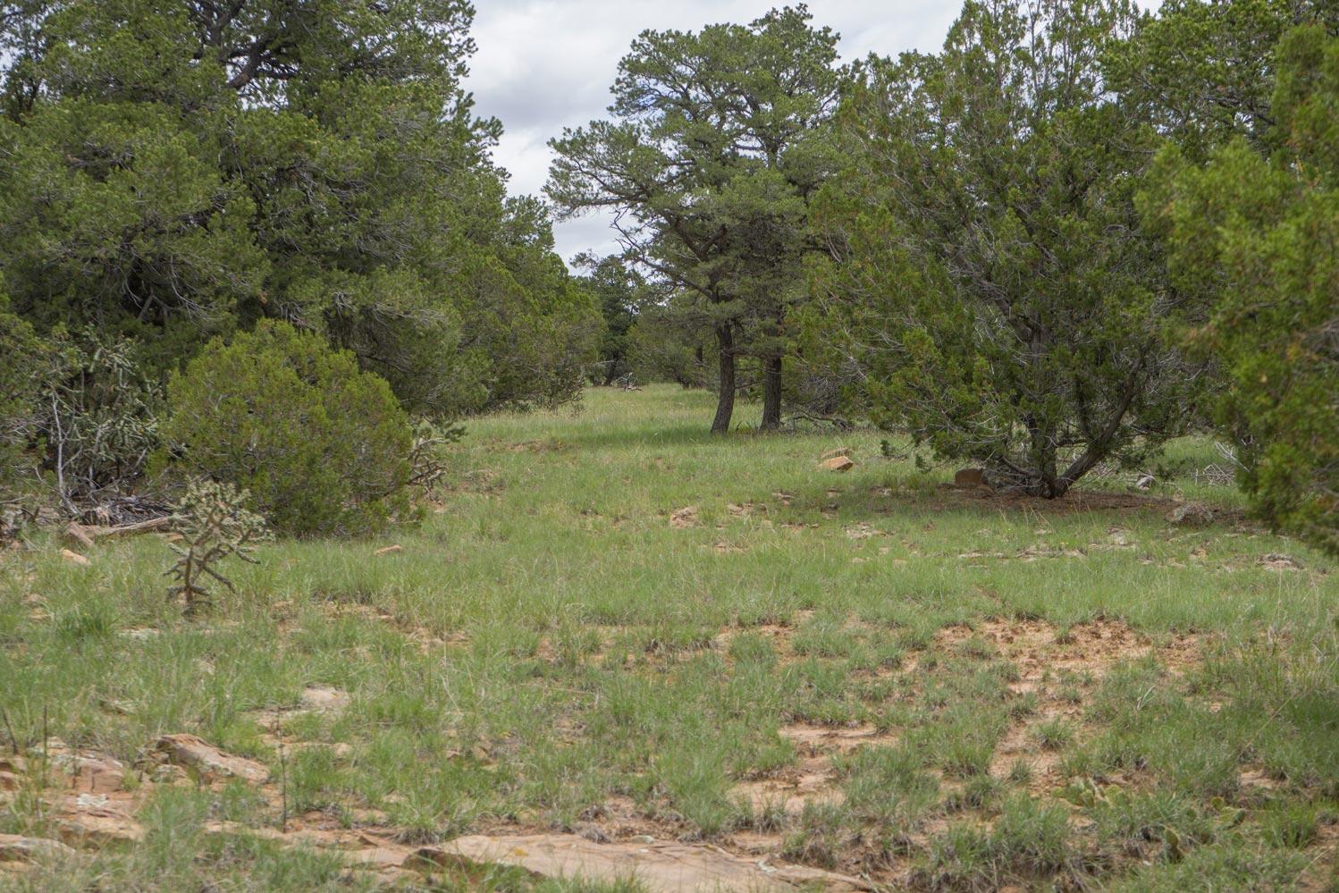 E Highway 34, Rowe, New Mexico image 16