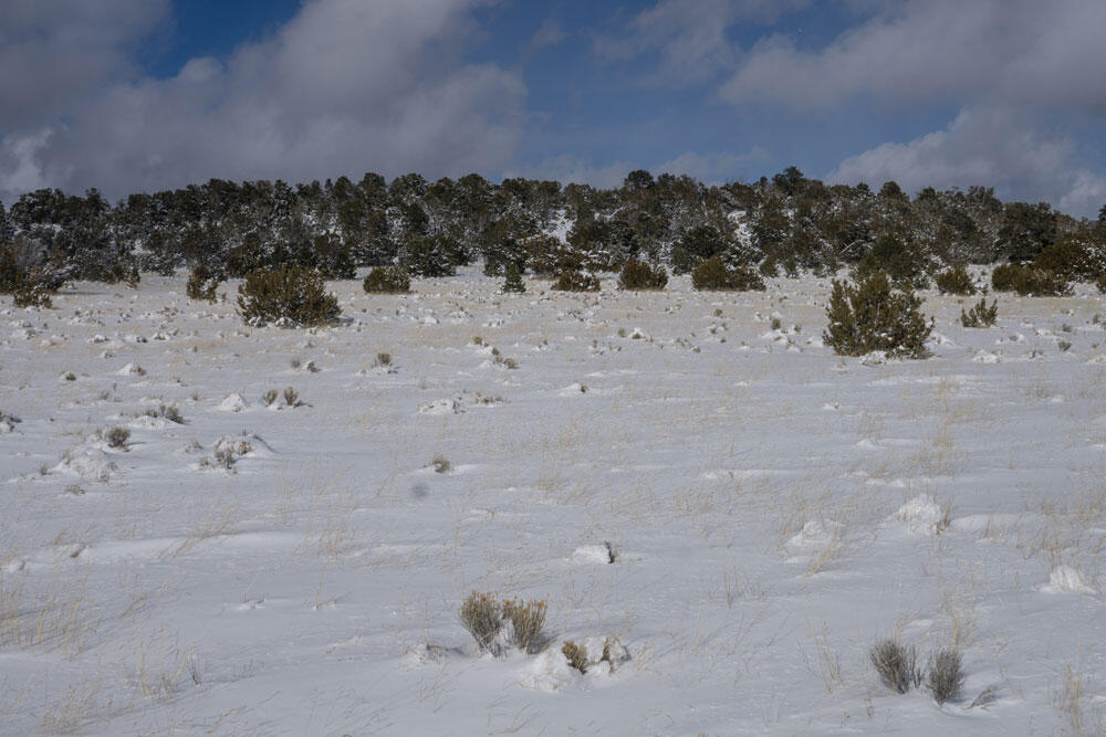 E Highway 34, Rowe, New Mexico image 18