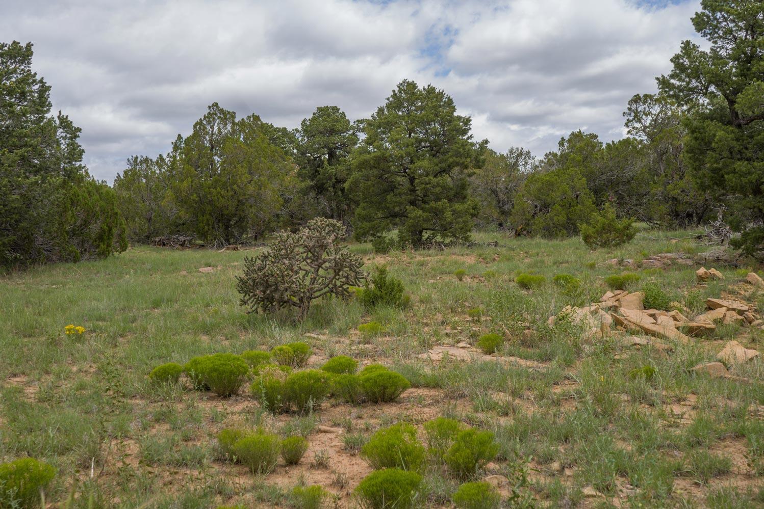 E Highway 34, Rowe, New Mexico image 17