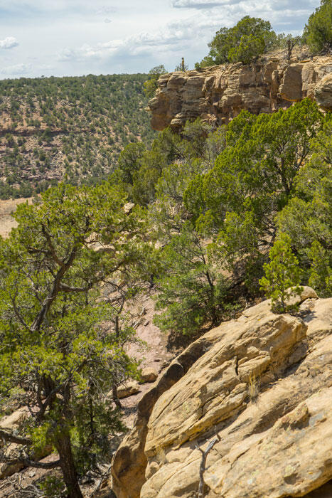 E Highway 34, Rowe, New Mexico image 23