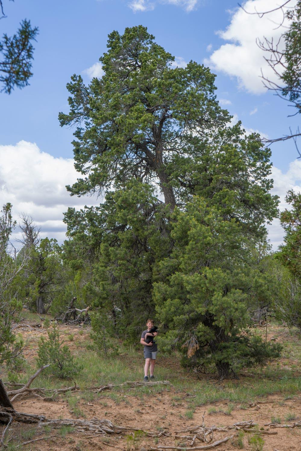 E Highway 34, Rowe, New Mexico image 25