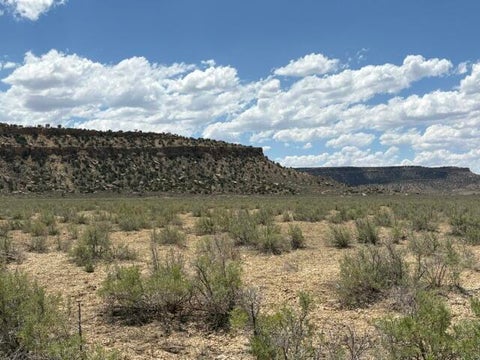 Vacant Land For Sale - County Road 1<br/> Mckinley County, Gallup, NM 87301
