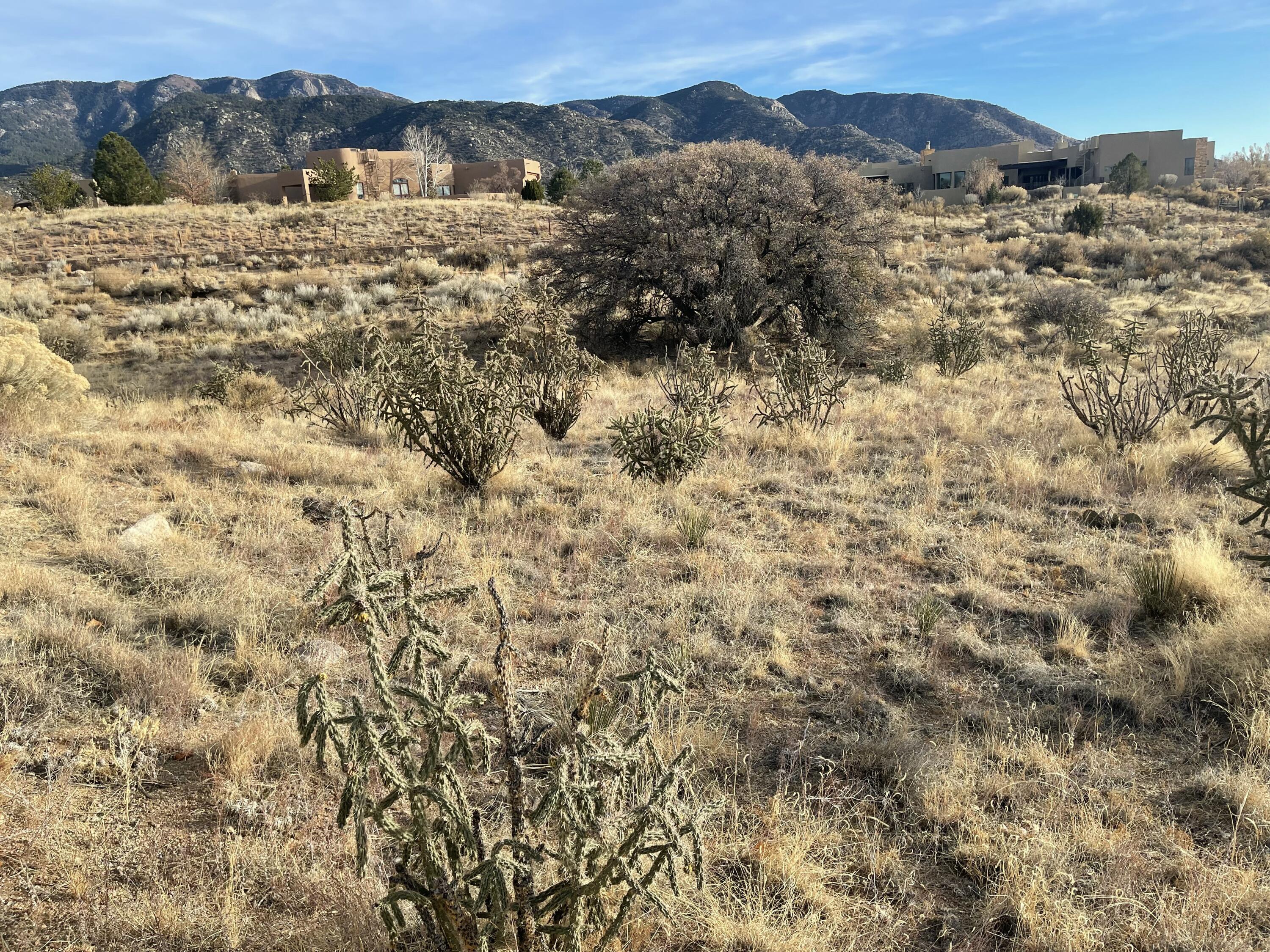 1562 Eagle Ridge Court, Albuquerque, New Mexico image 26