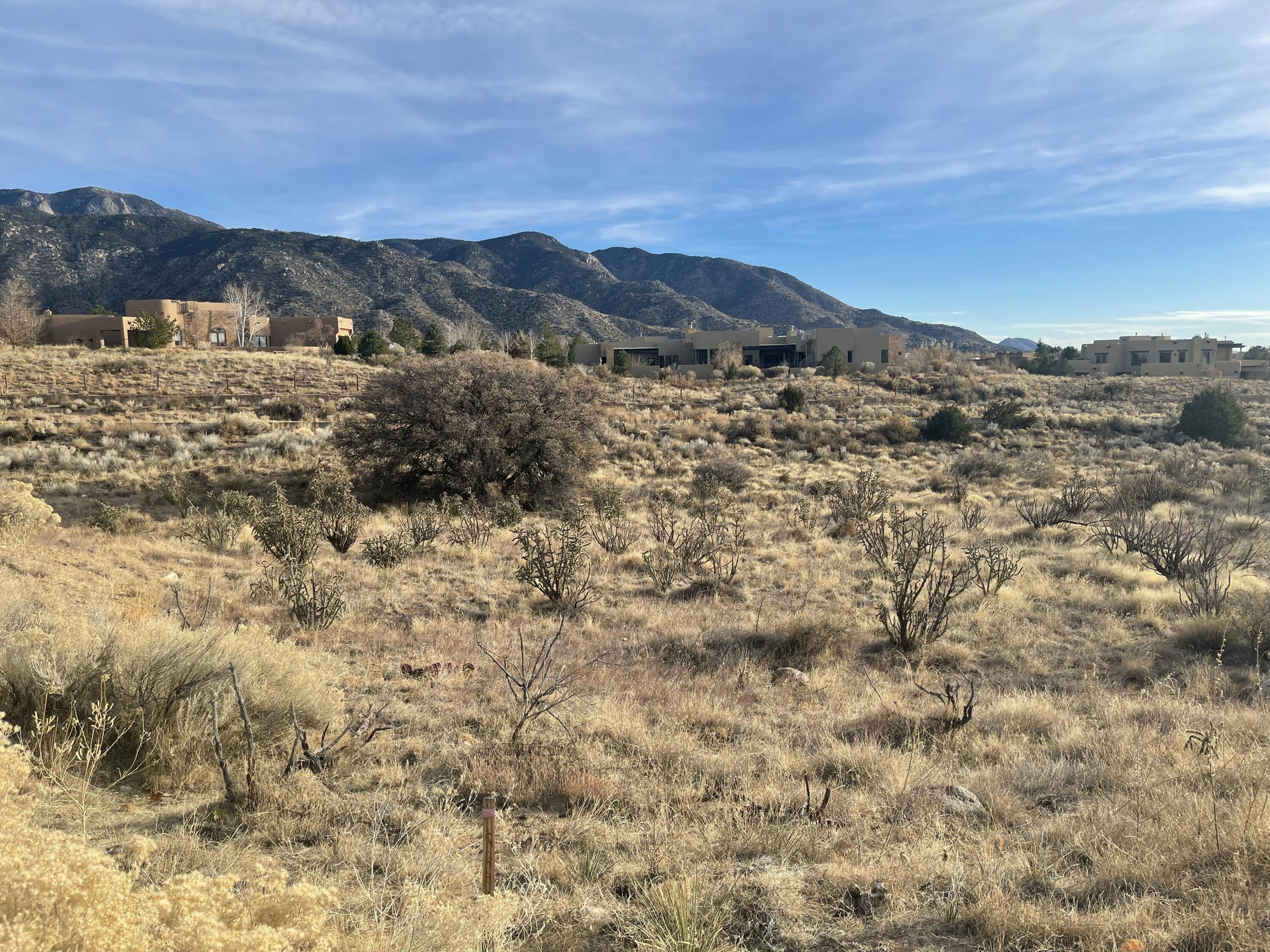 1562 Eagle Ridge Court, Albuquerque, New Mexico image 28