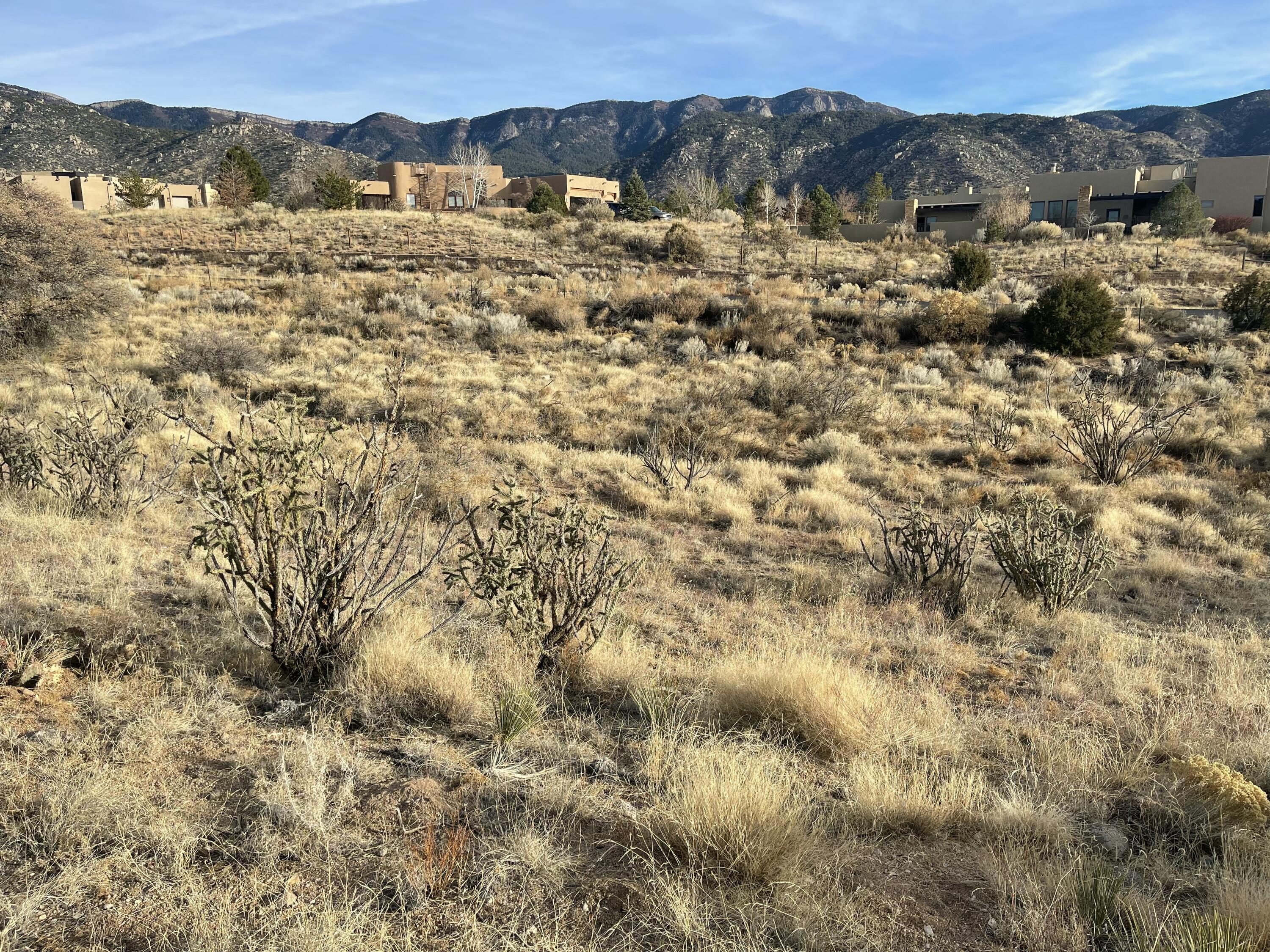 1562 Eagle Ridge Court, Albuquerque, New Mexico image 21