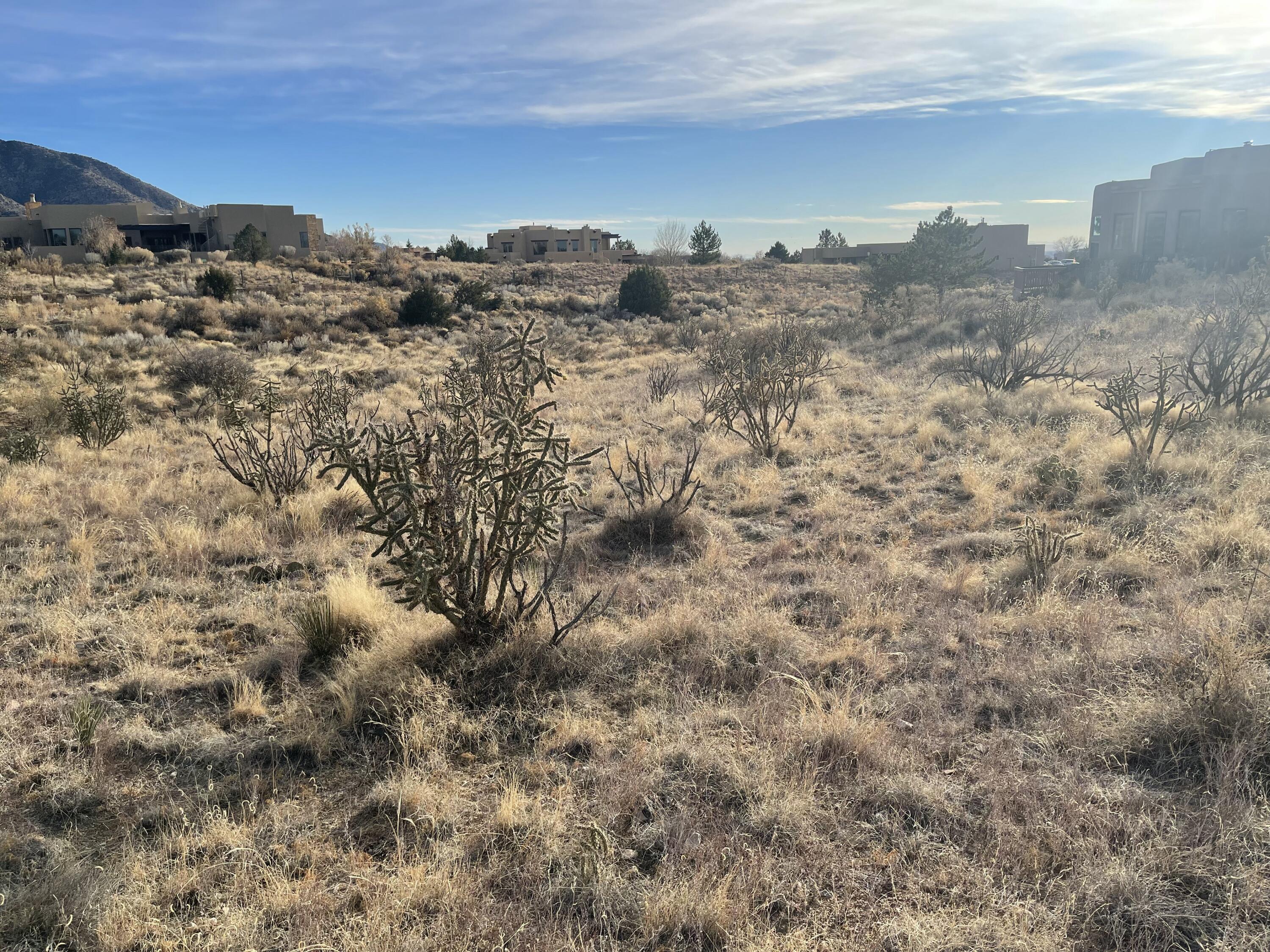 1562 Eagle Ridge Court, Albuquerque, New Mexico image 25