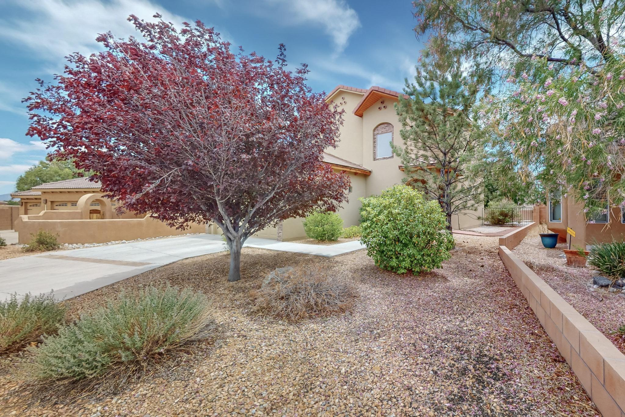 6506 Desert Spirit Road, Albuquerque, New Mexico image 4