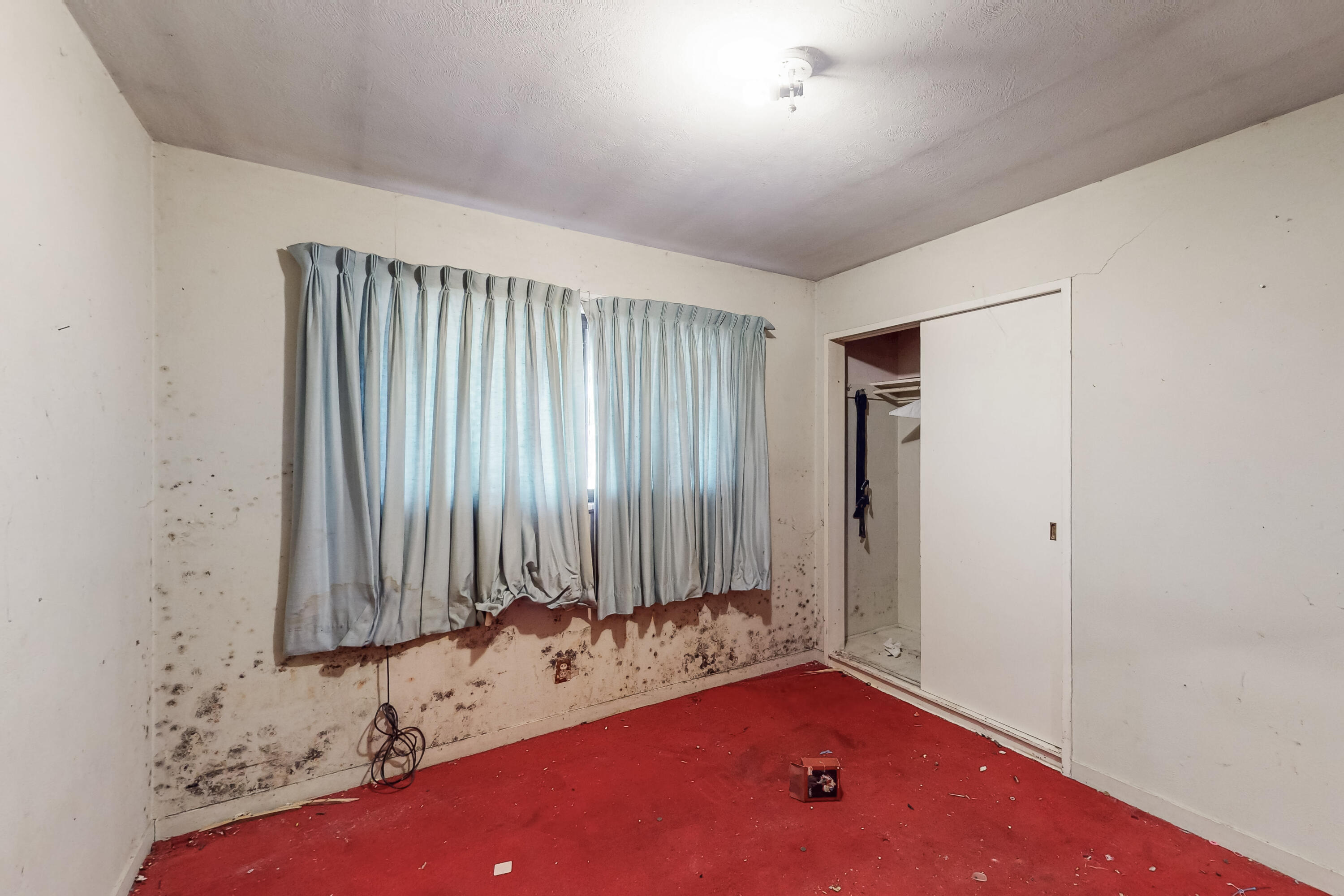 1016 California Street, Albuquerque, New Mexico image 7